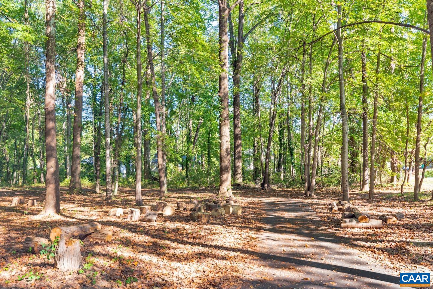 110 TURTLE CREEK RD, CHARLOTTESVILLE, Virginia 22901, 2 Bedrooms Bedrooms, ,2 BathroomsBathrooms,Residential,110 TURTLE CREEK RD,675537 MLS # 675537