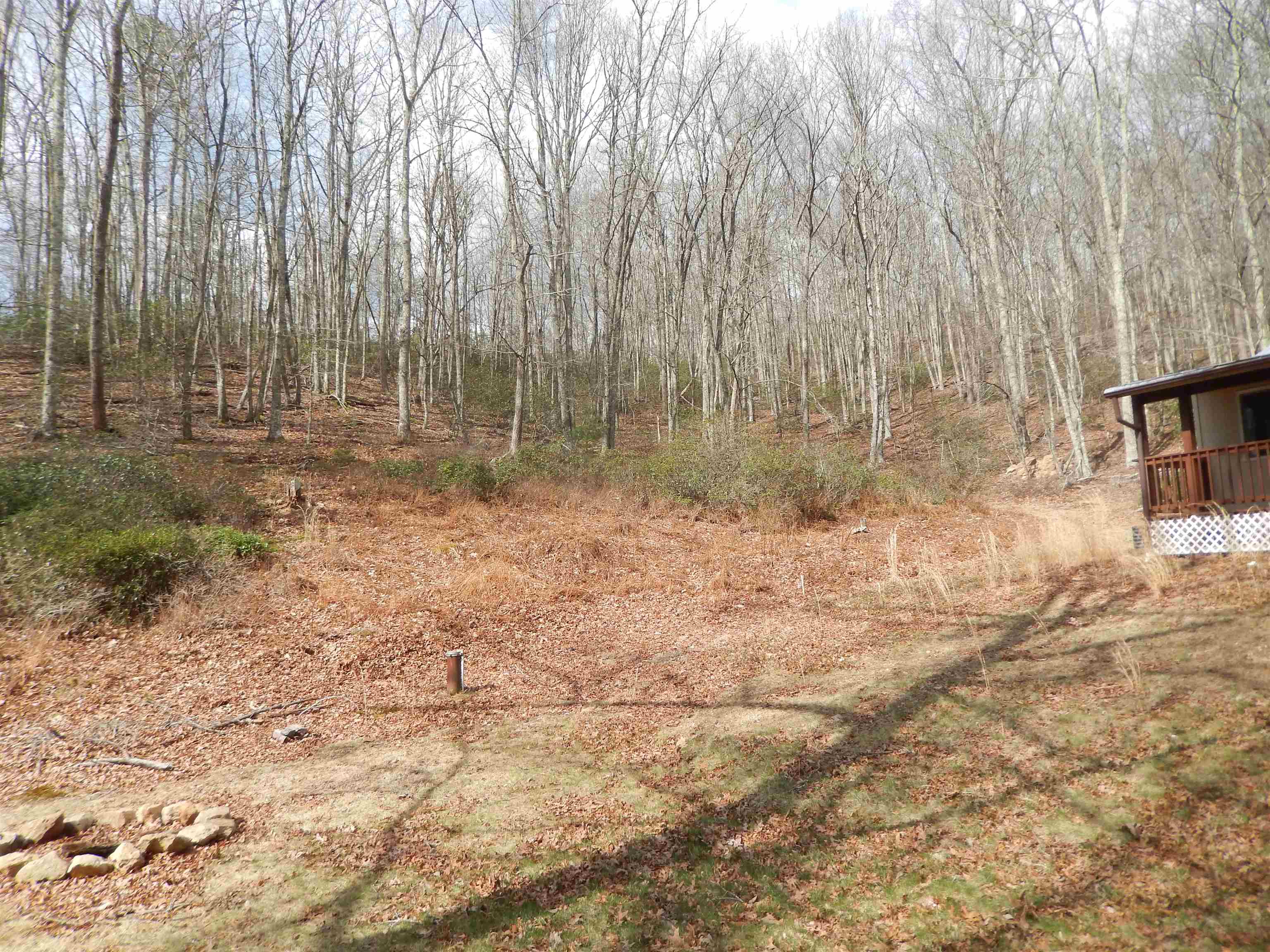 1308 SPRUCE ST, MONTEREY, Virginia 24465, 1 Bedroom Bedrooms, ,1 BathroomBathrooms,Residential,VRM_209379,1308 SPRUCE ST,675693 MLS # 675693