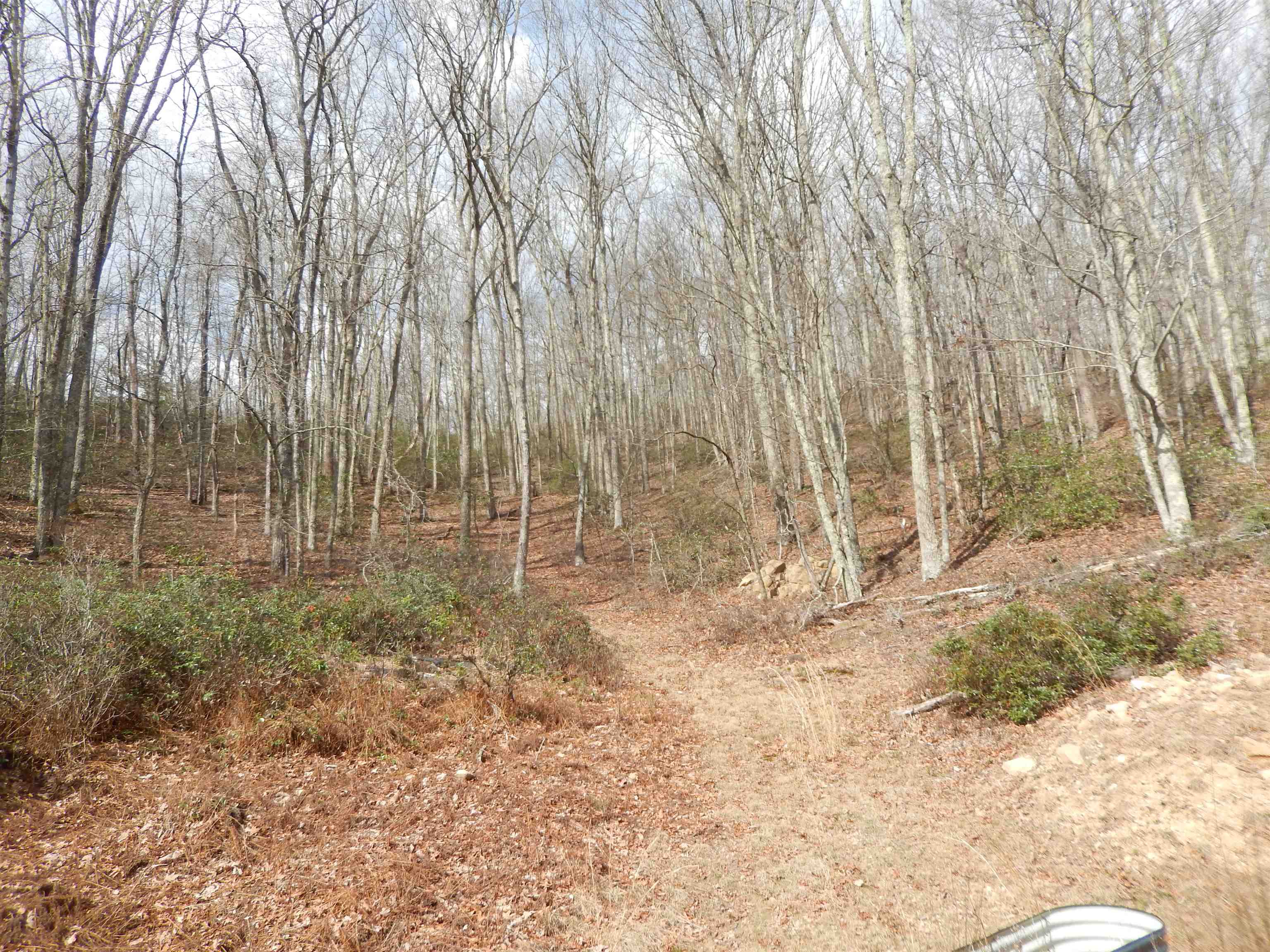 1308 SPRUCE ST, MONTEREY, Virginia 24465, 1 Bedroom Bedrooms, ,1 BathroomBathrooms,Residential,VRM_209379,1308 SPRUCE ST,675693 MLS # 675693