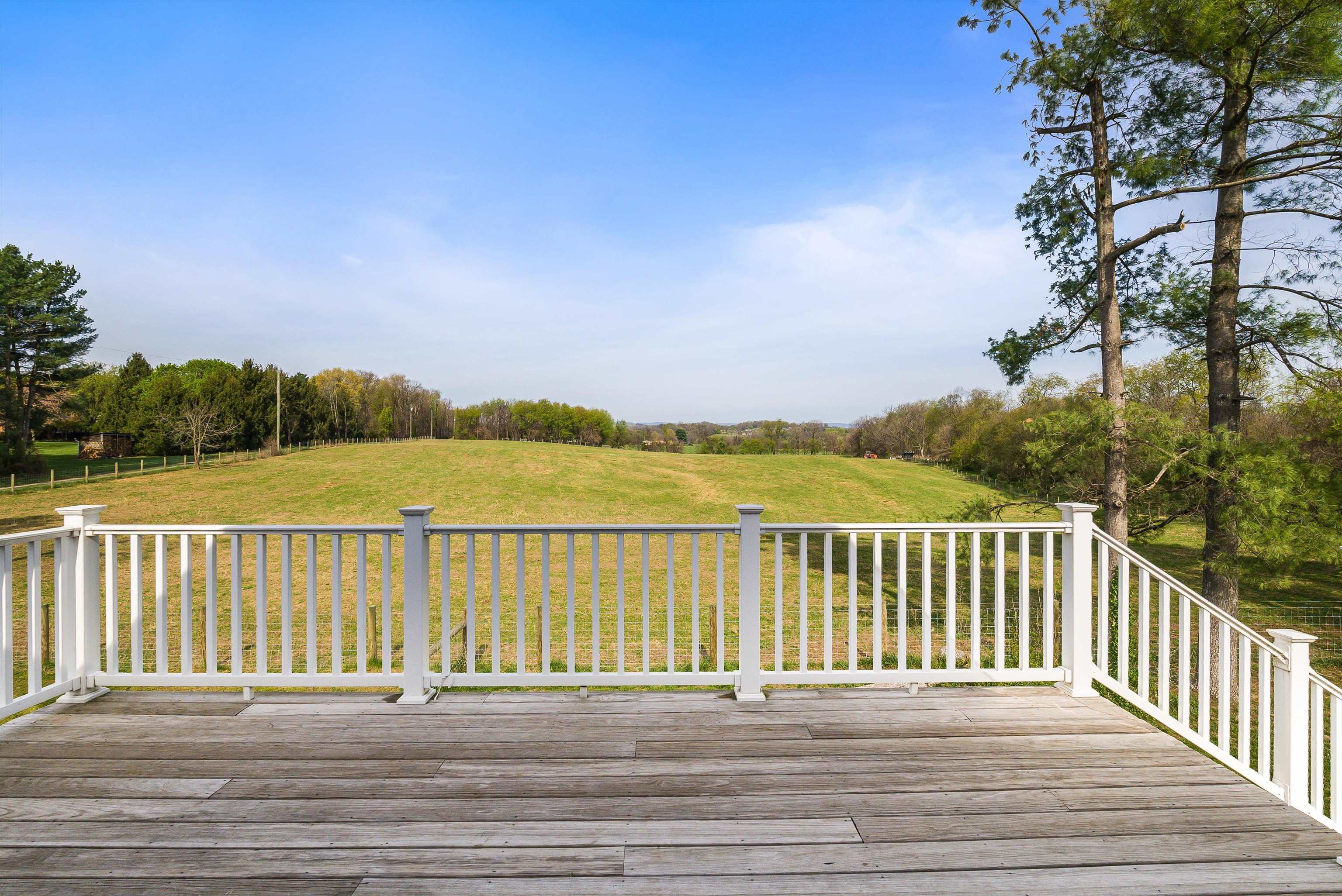 574 JIGGADY RD, NEW MARKET, Virginia 22844, 6 Bedrooms Bedrooms, ,4 BathroomsBathrooms,Residential,574 JIGGADY RD,675695 MLS # 675695 574 JIGGADY RD, NEW MARKET, Virginia 22844, 6 Bedrooms Bedrooms, ,4 BathroomsBathrooms,Residential,574 JIGGADY RD,675695 MLS # 675695