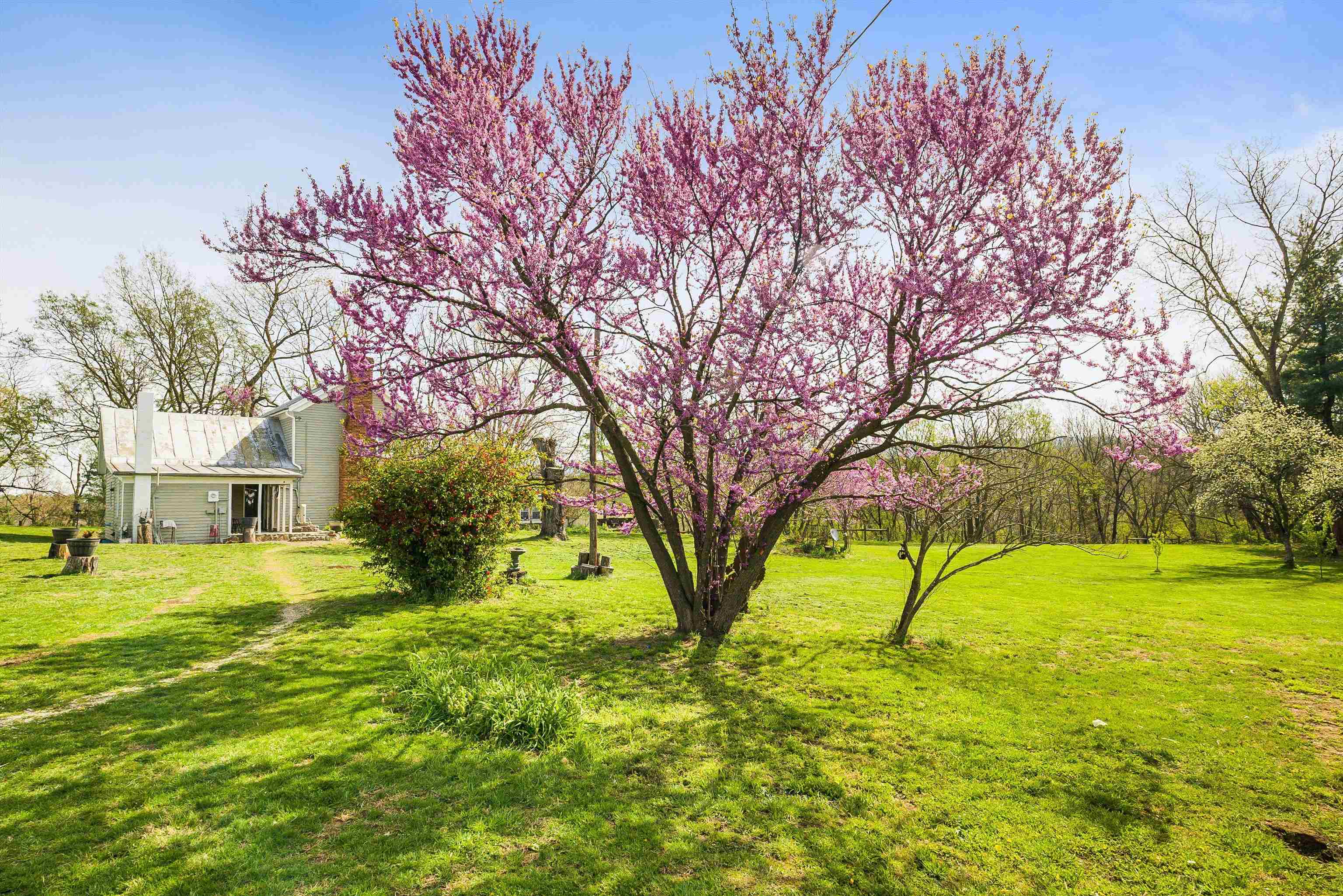 574 JIGGADY RD, NEW MARKET, Virginia 22844, 6 Bedrooms Bedrooms, ,4 BathroomsBathrooms,Residential,574 JIGGADY RD,675695 MLS # 675695 574 JIGGADY RD, NEW MARKET, Virginia 22844, 6 Bedrooms Bedrooms, ,4 BathroomsBathrooms,Residential,574 JIGGADY RD,675695 MLS # 675695