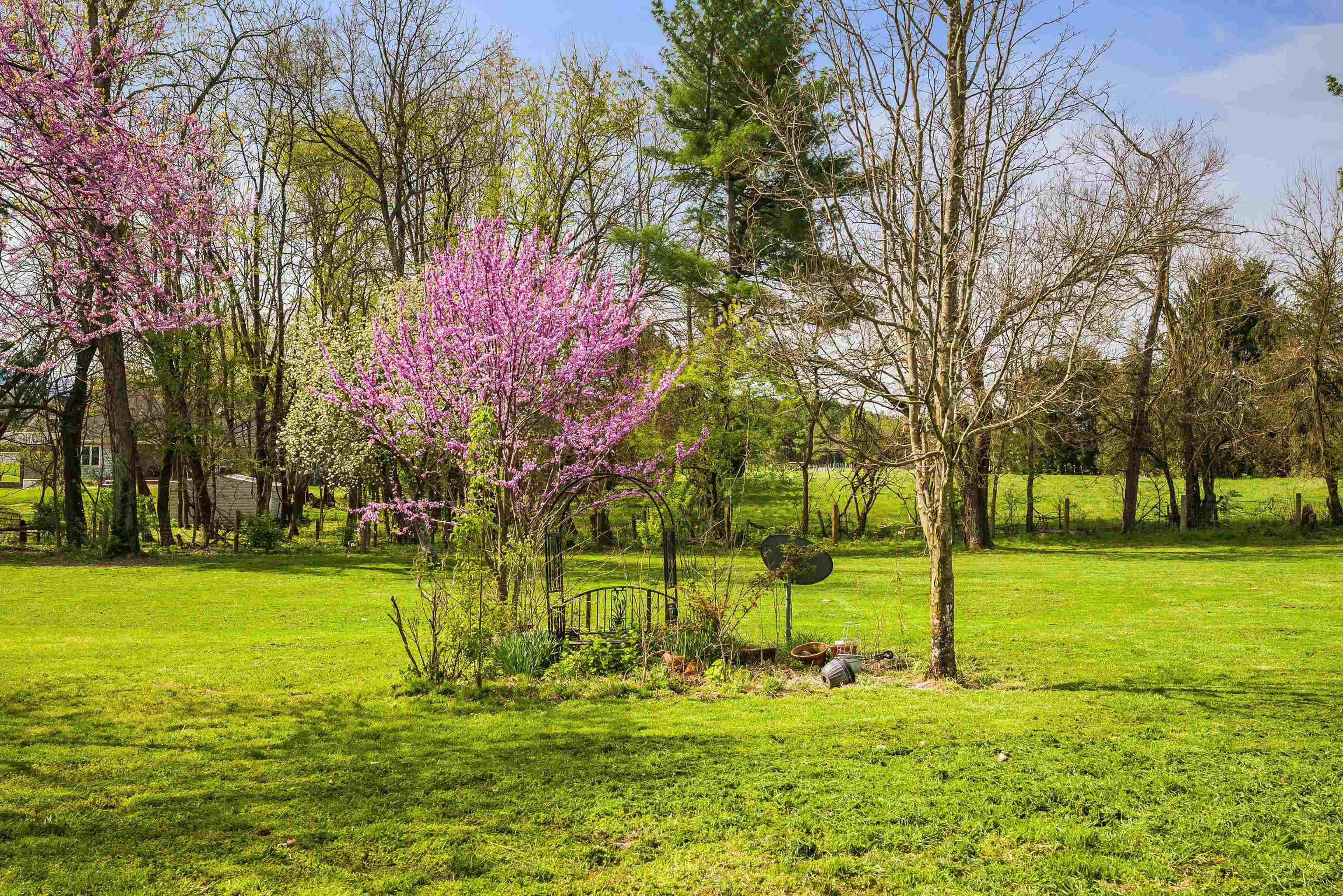 574 JIGGADY RD, NEW MARKET, Virginia 22844, 6 Bedrooms Bedrooms, ,4 BathroomsBathrooms,Residential,574 JIGGADY RD,675695 MLS # 675695 574 JIGGADY RD, NEW MARKET, Virginia 22844, 6 Bedrooms Bedrooms, ,4 BathroomsBathrooms,Residential,574 JIGGADY RD,675695 MLS # 675695