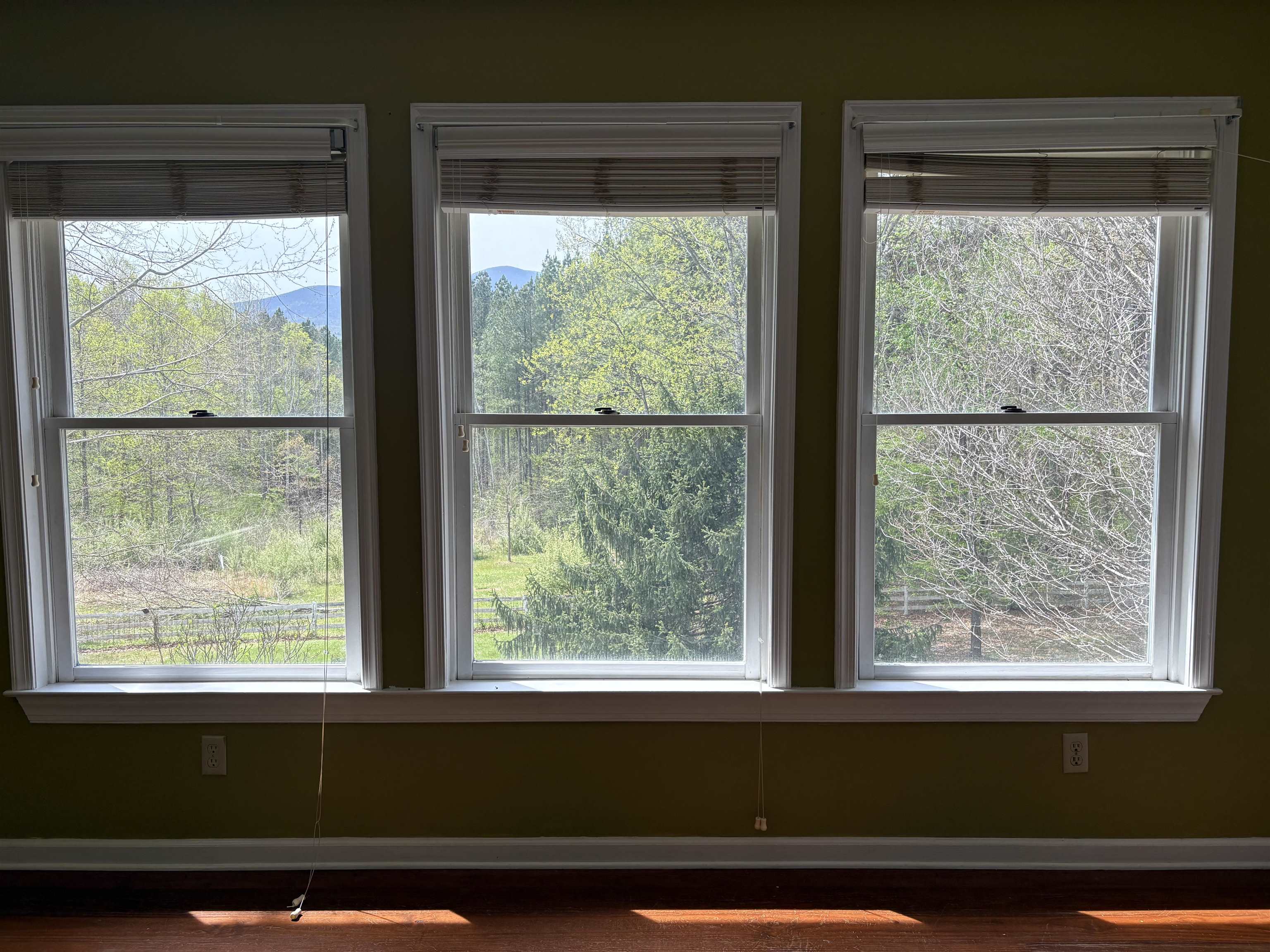 448 PINE NEEDLES LN, AFTON, Virginia 22920, 3 Bedrooms Bedrooms, ,2 BathroomsBathrooms,Residential,448 PINE NEEDLES LN,675699 MLS # 675699