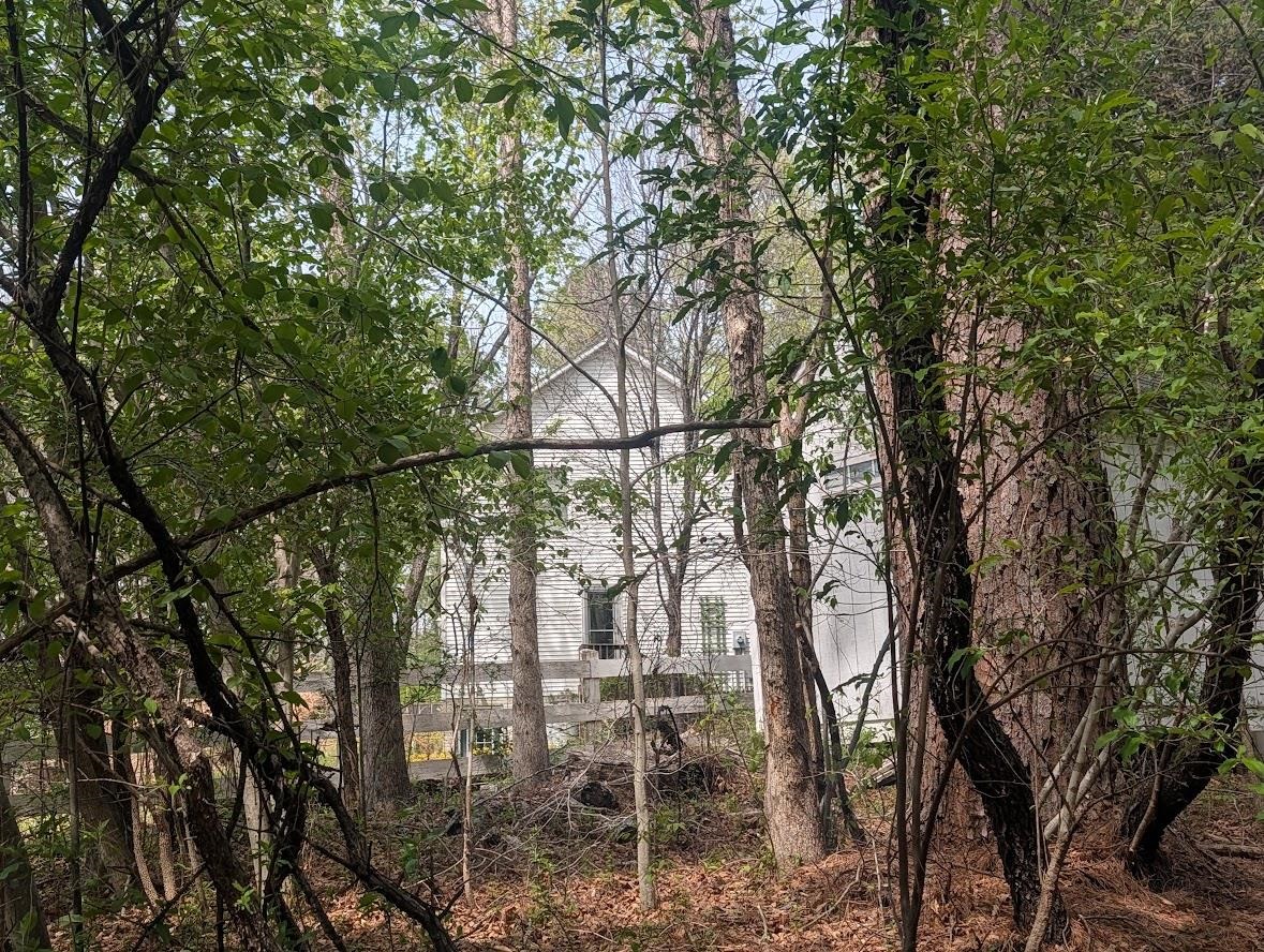 448 PINE NEEDLES LN, AFTON, Virginia 22920, 3 Bedrooms Bedrooms, ,2 BathroomsBathrooms,Residential,448 PINE NEEDLES LN,675699 MLS # 675699