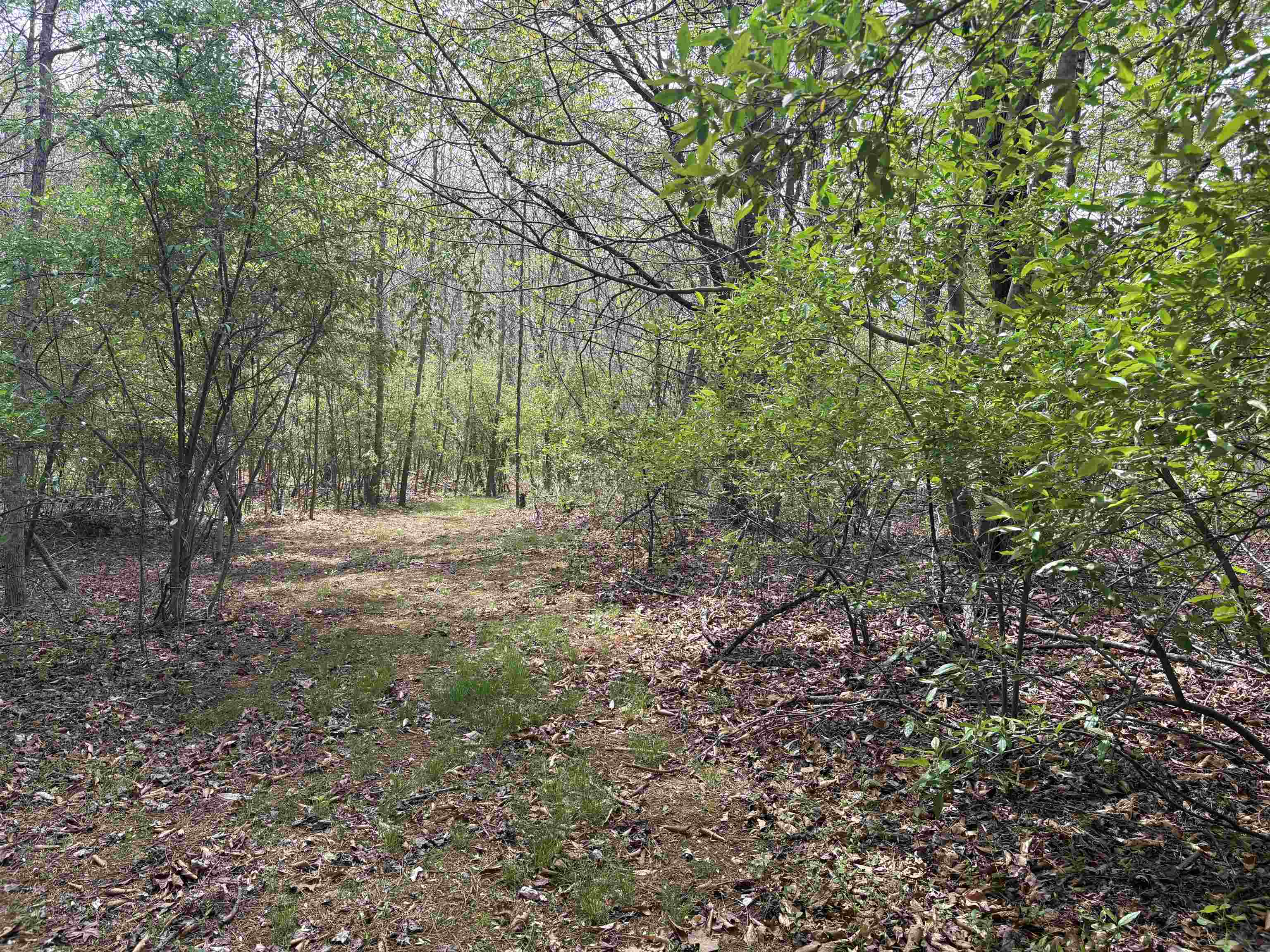 448 PINE NEEDLES LN, AFTON, Virginia 22920, 3 Bedrooms Bedrooms, ,2 BathroomsBathrooms,Residential,448 PINE NEEDLES LN,675699 MLS # 675699