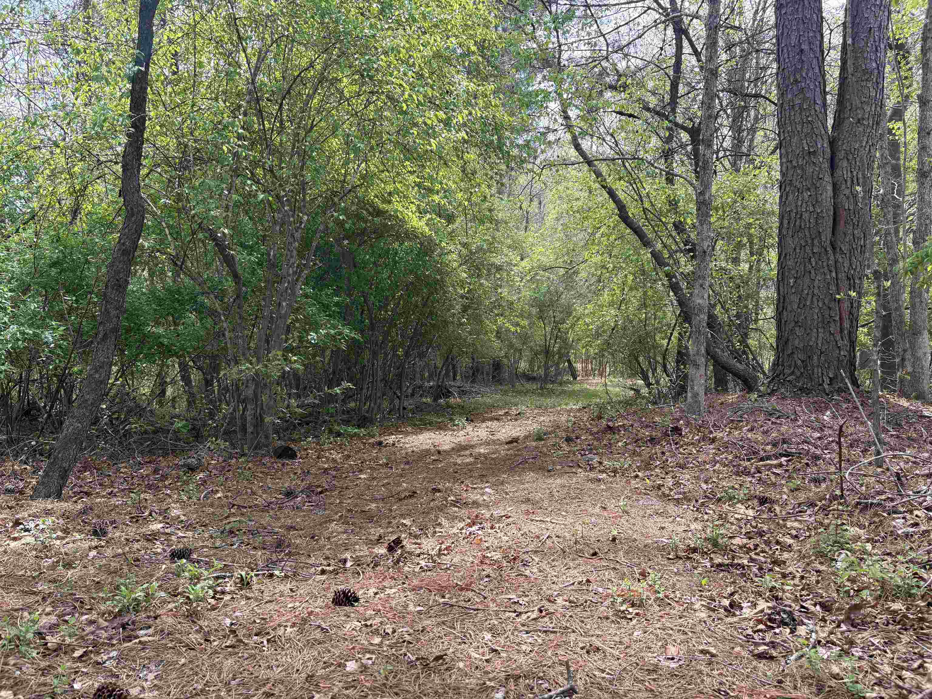 448 PINE NEEDLES LN, AFTON, Virginia 22920, 3 Bedrooms Bedrooms, ,2 BathroomsBathrooms,Residential,448 PINE NEEDLES LN,675699 MLS # 675699