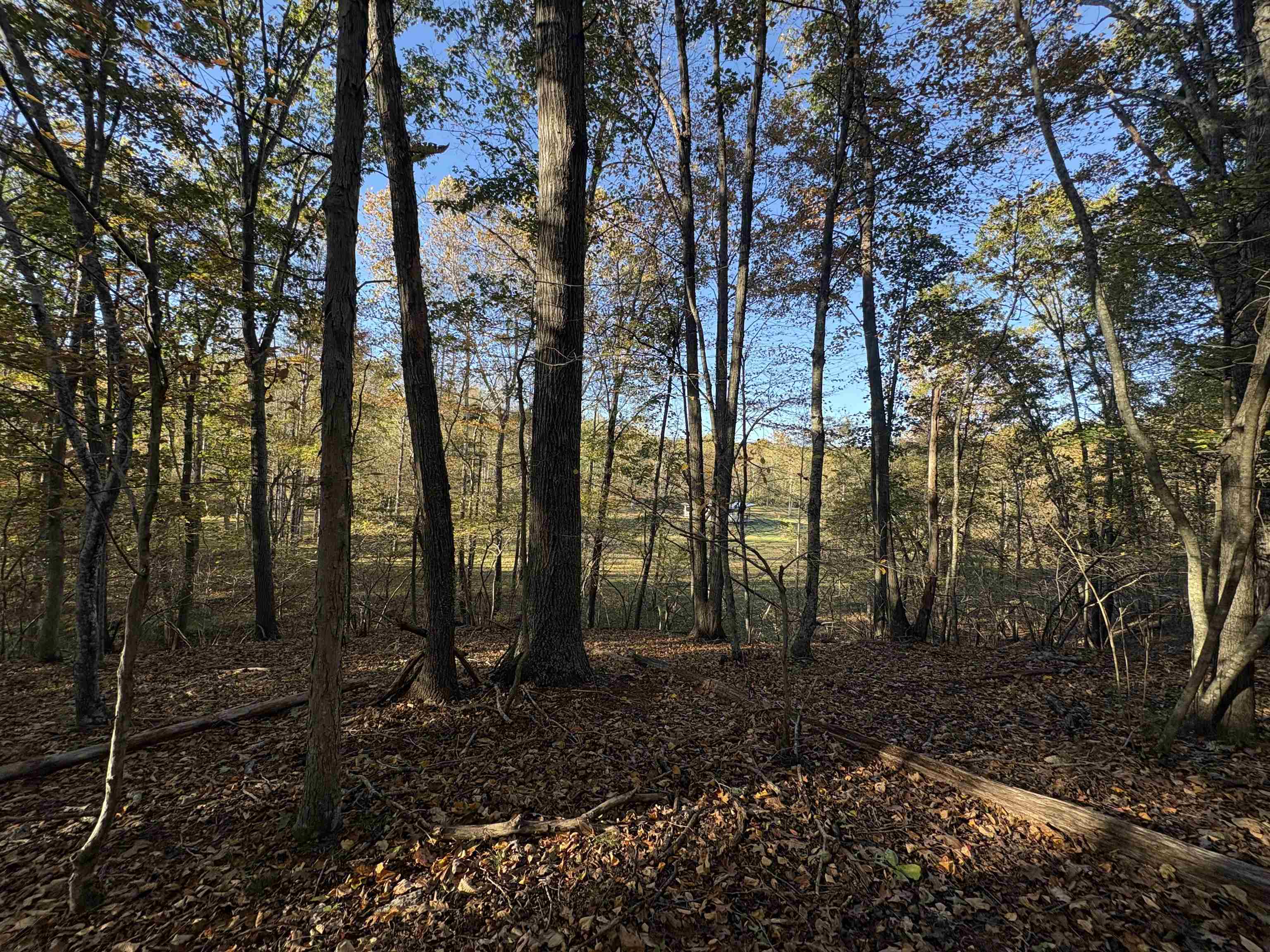 448 PINE NEEDLES LN, AFTON, Virginia 22920, 3 Bedrooms Bedrooms, ,2 BathroomsBathrooms,Residential,448 PINE NEEDLES LN,675699 MLS # 675699