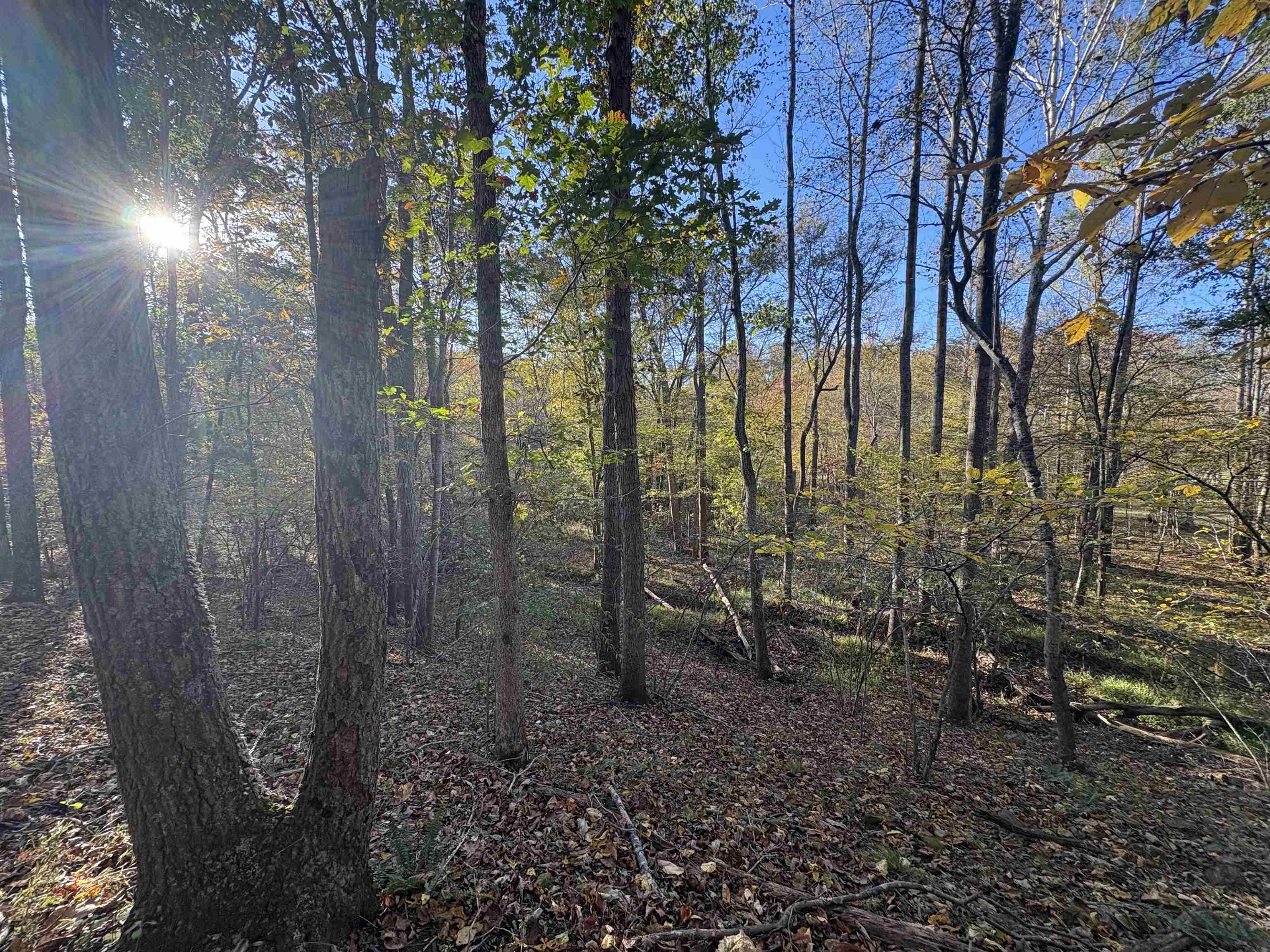 448 PINE NEEDLES LN, AFTON, Virginia 22920, 3 Bedrooms Bedrooms, ,2 BathroomsBathrooms,Residential,448 PINE NEEDLES LN,675699 MLS # 675699