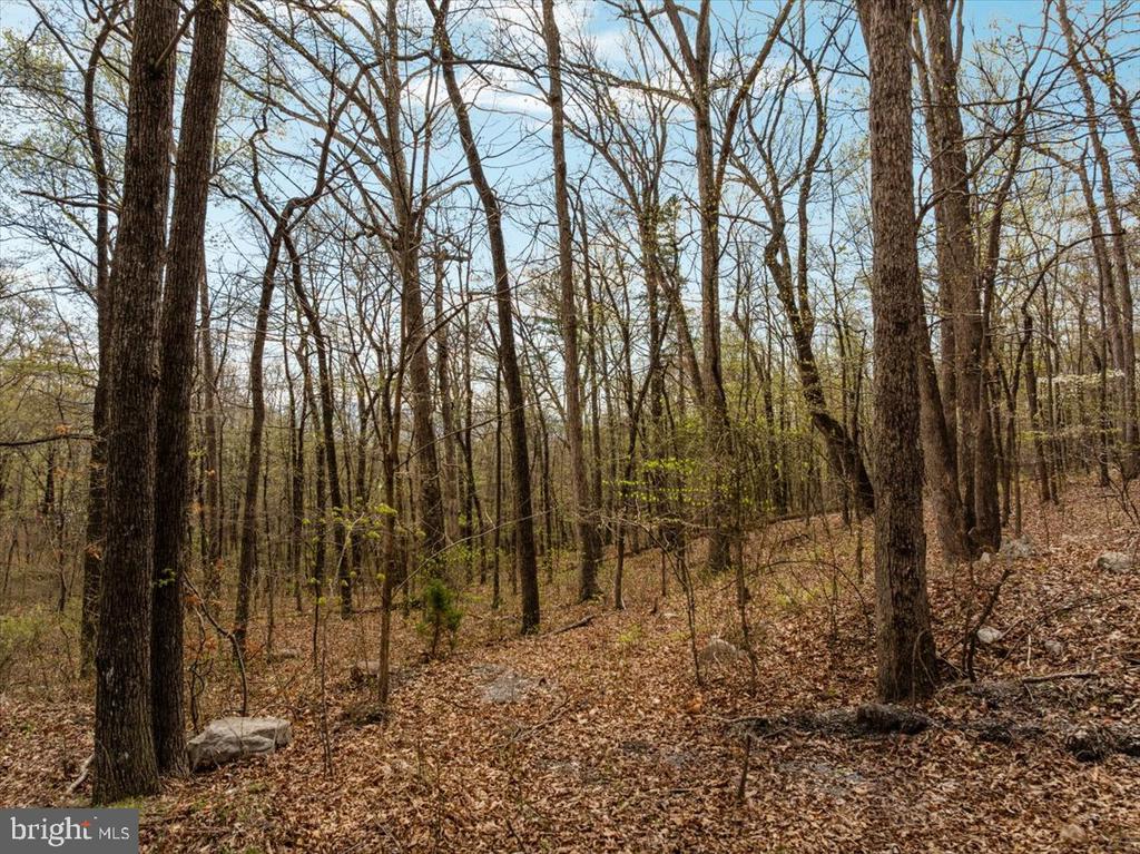 MOCKINGBIRD LN, LURAY, Virginia 22835, ,Land,MOCKINGBIRD LN,VAPA2006288 MLS # VAPA2006288