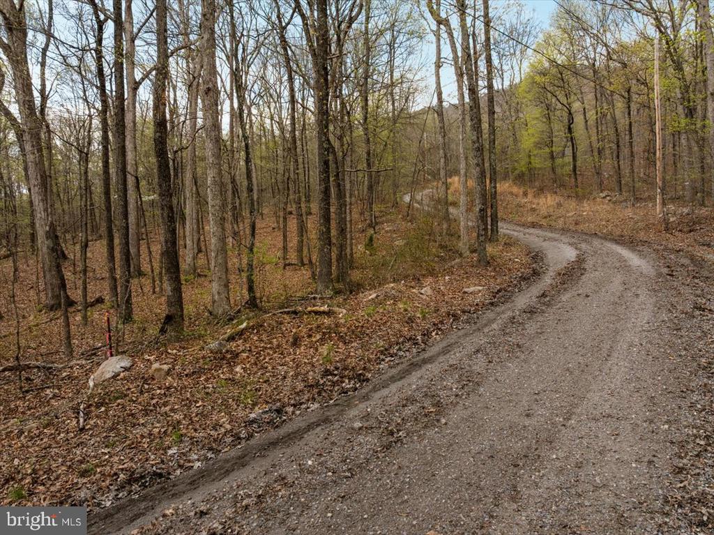 MOCKINGBIRD LN, LURAY, Virginia 22835, ,Land,MOCKINGBIRD LN,VAPA2006288 MLS # VAPA2006288