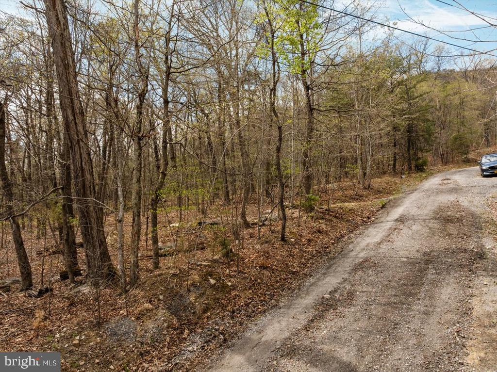 MOCKINGBIRD LN, LURAY, Virginia 22835, ,Land,MOCKINGBIRD LN,VAPA2006288 MLS # VAPA2006288