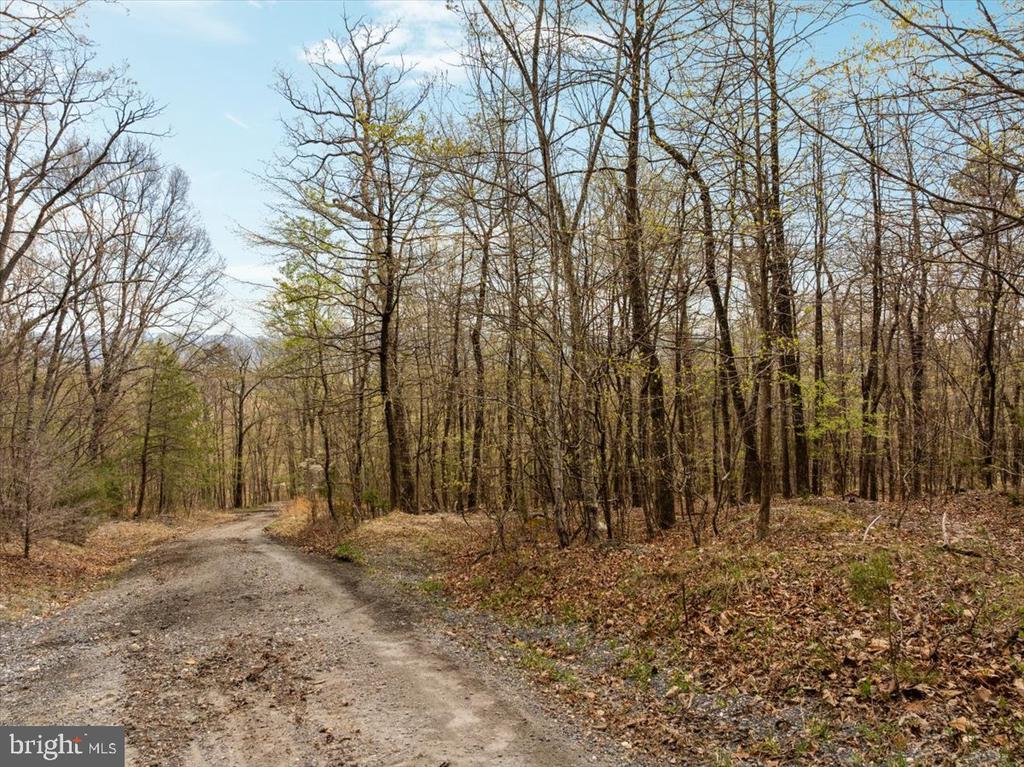 MOCKINGBIRD LN, LURAY, Virginia 22835, ,Land,MOCKINGBIRD LN,VAPA2006288 MLS # VAPA2006288