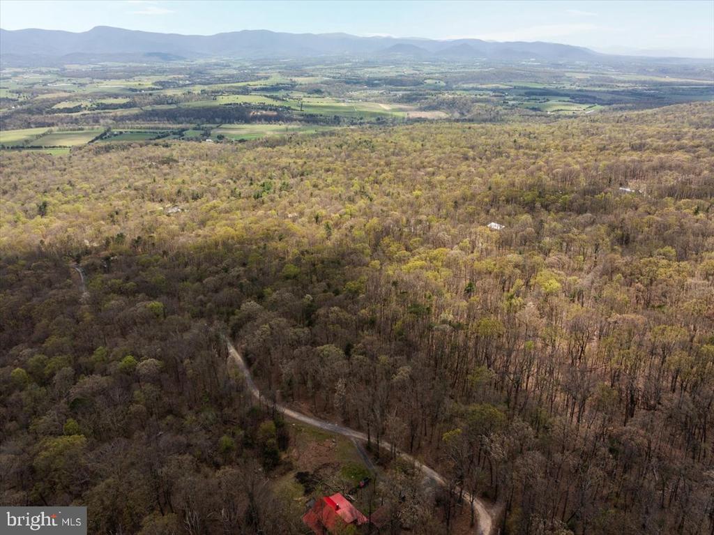 MOCKINGBIRD LN, LURAY, Virginia 22835, ,Land,MOCKINGBIRD LN,VAPA2006288 MLS # VAPA2006288