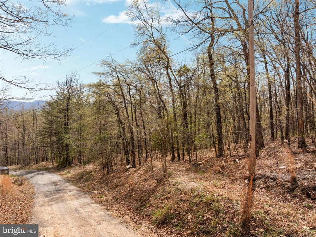 MOCKINGBIRD LN, LURAY, Virginia 22835, ,Land,MOCKINGBIRD LN,VAPA2006288 MLS # VAPA2006288