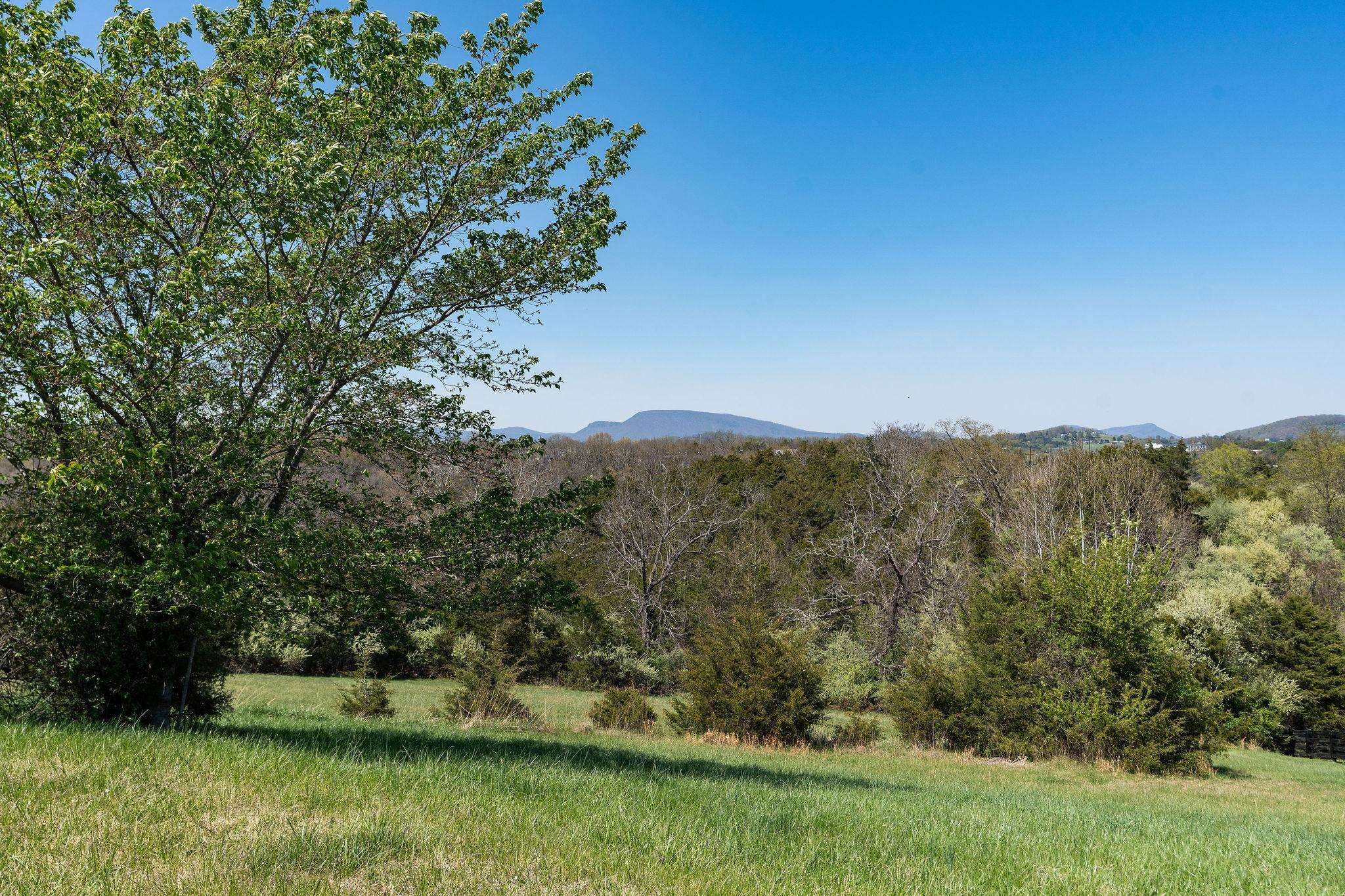 Lot 2 CORA LN, LEXINGTON, Virginia 24450, ,Land,Lot 2 CORA LN,675711 MLS # 675711 Lot 2 CORA LN, LEXINGTON, Virginia 24450, ,Land,Lot 2 CORA LN,675711 MLS # 675711