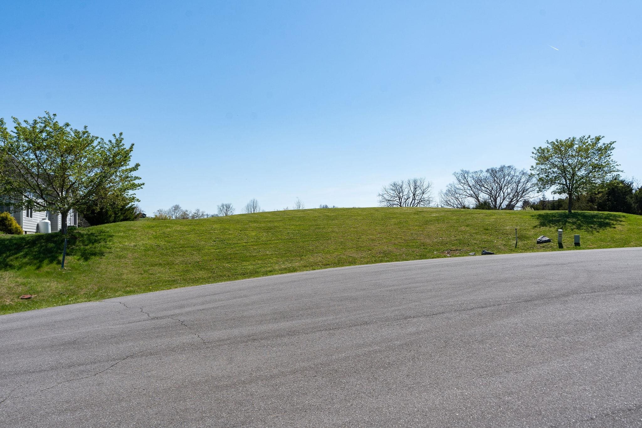 Lot 2 CORA LN, LEXINGTON, Virginia 24450, ,Land,Lot 2 CORA LN,675711 MLS # 675711 Lot 2 CORA LN, LEXINGTON, Virginia 24450, ,Land,Lot 2 CORA LN,675711 MLS # 675711