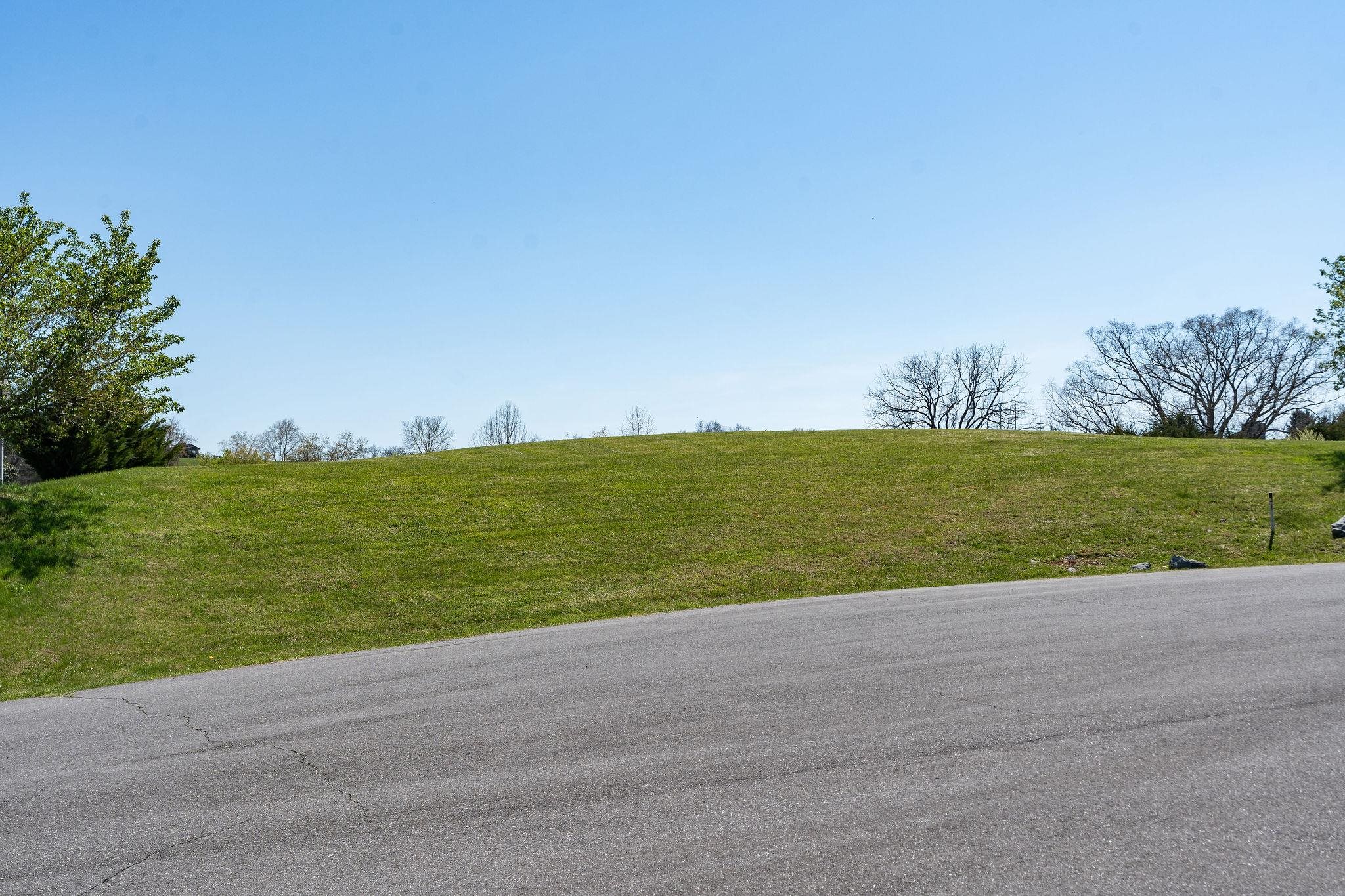 Lot 2 CORA LN, LEXINGTON, Virginia 24450, ,Land,Lot 2 CORA LN,675711 MLS # 675711 Lot 2 CORA LN, LEXINGTON, Virginia 24450, ,Land,Lot 2 CORA LN,675711 MLS # 675711