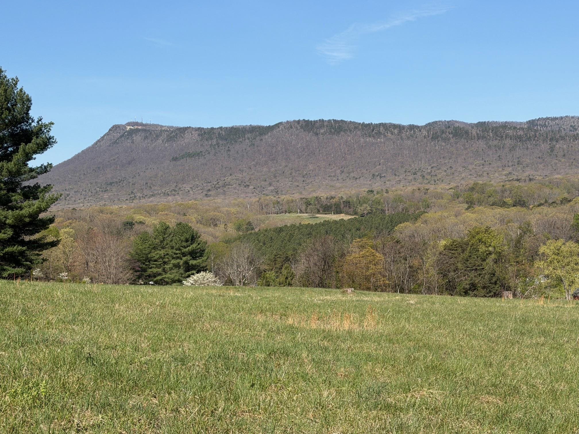 TBD BLOOMER SPRINGS RD, MCGAHEYSVILLE, Virginia 22840, ,Land,TBD BLOOMER SPRINGS RD,675715 MLS # 675715