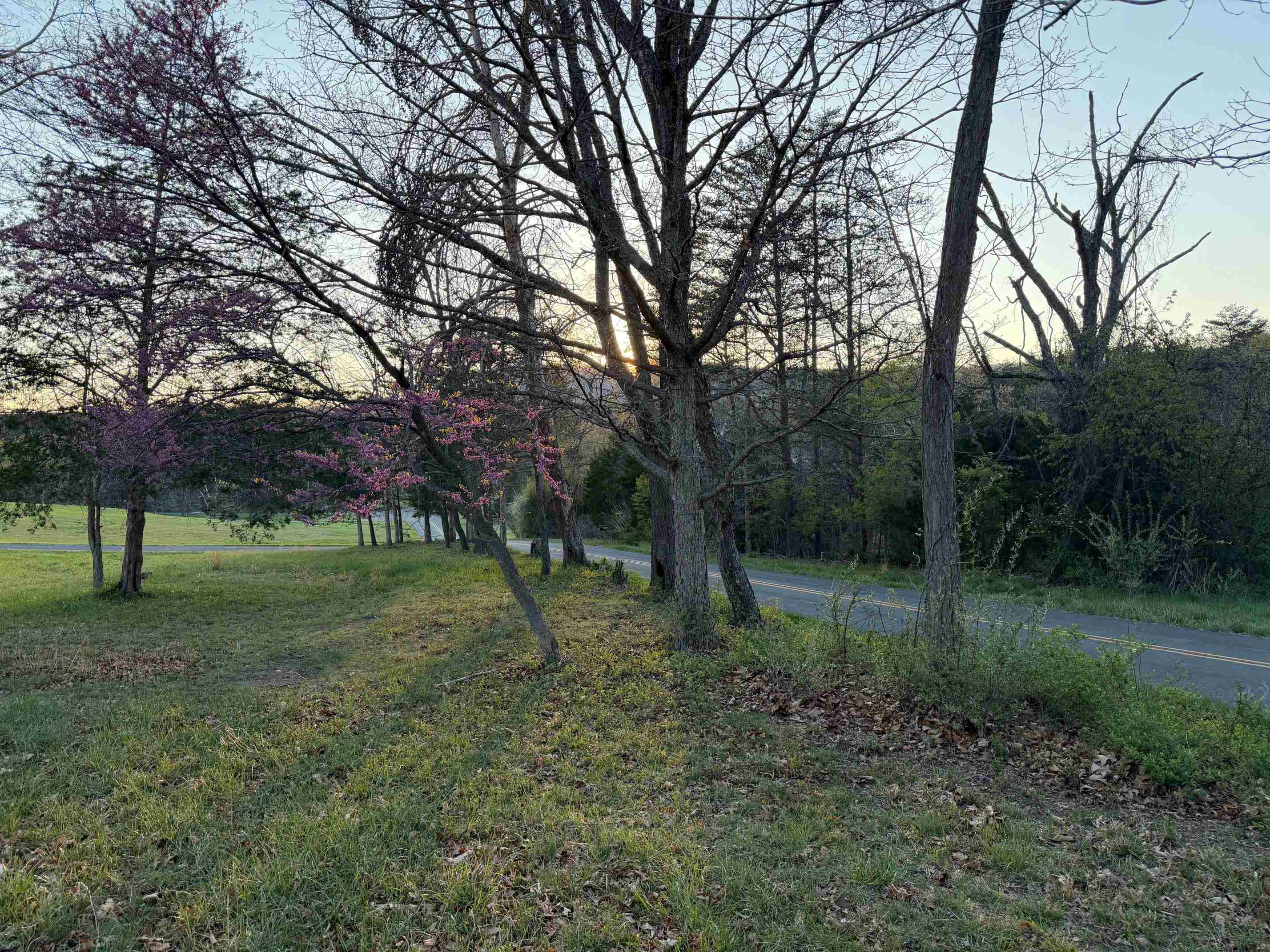 TBD BLOOMER SPRINGS RD, MCGAHEYSVILLE, Virginia 22840, ,Land,TBD BLOOMER SPRINGS RD,675715 MLS # 675715