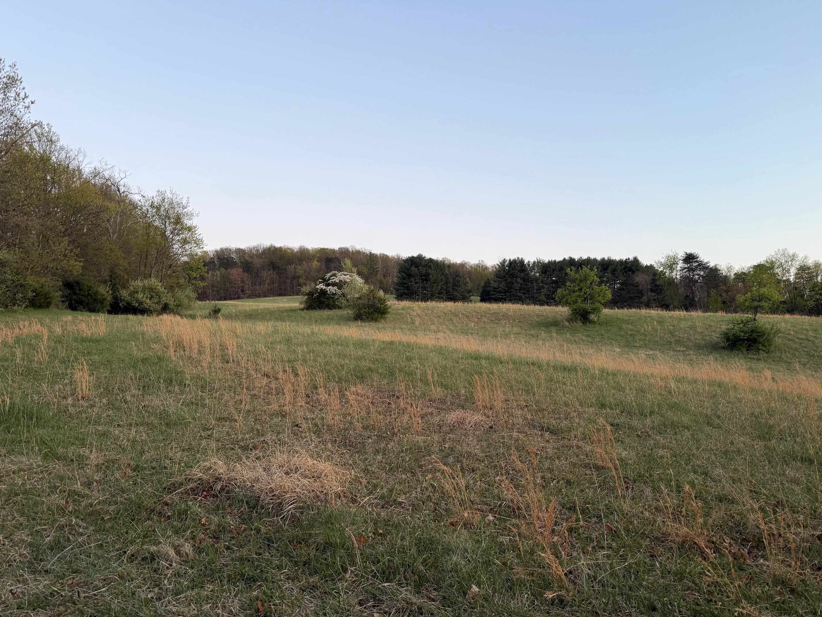 TBD BLOOMER SPRINGS RD, MCGAHEYSVILLE, Virginia 22840, ,Land,TBD BLOOMER SPRINGS RD,675715 MLS # 675715