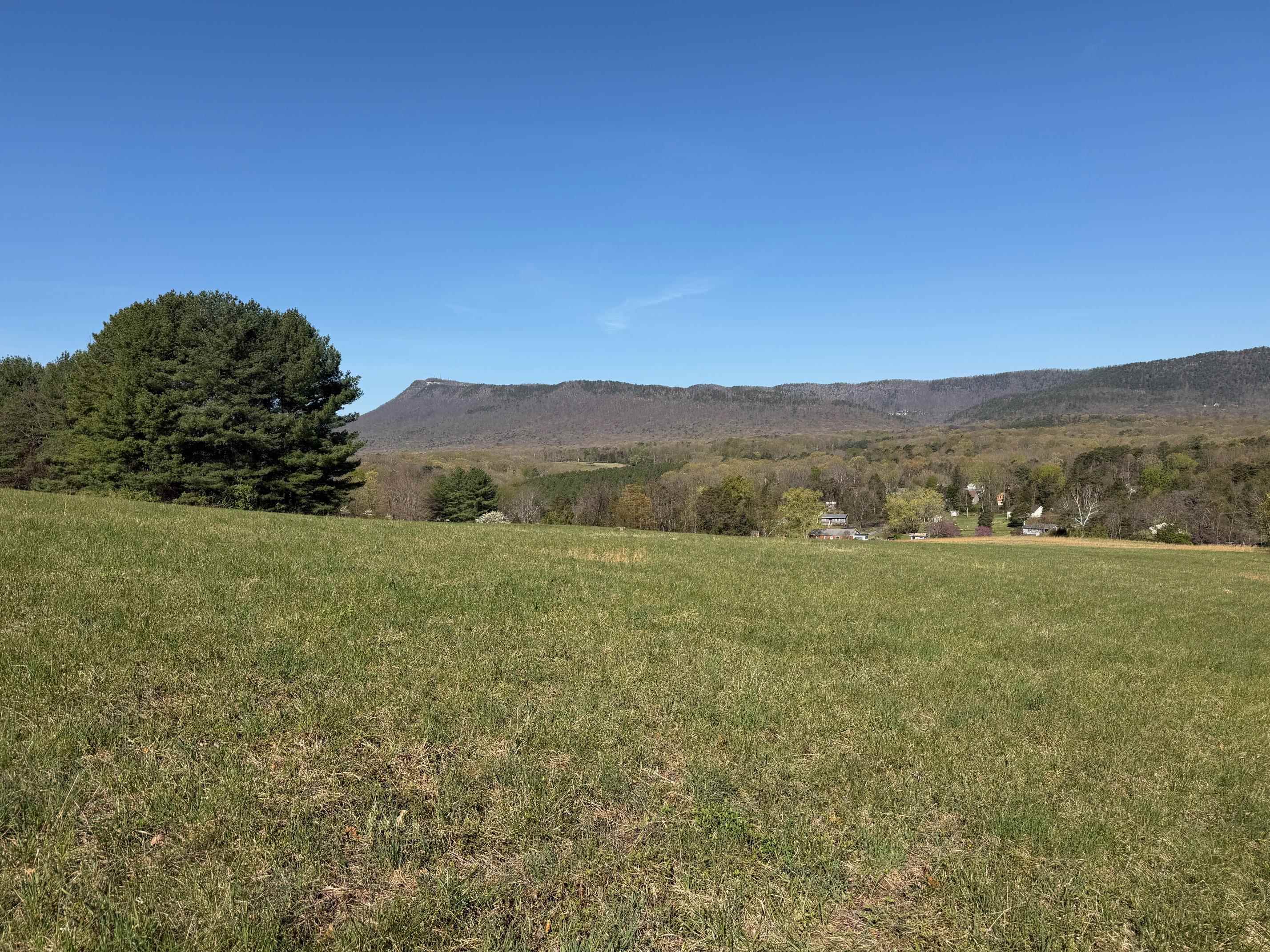TBD BLOOMER SPRINGS RD, MCGAHEYSVILLE, Virginia 22840, ,Land,TBD BLOOMER SPRINGS RD,675715 MLS # 675715