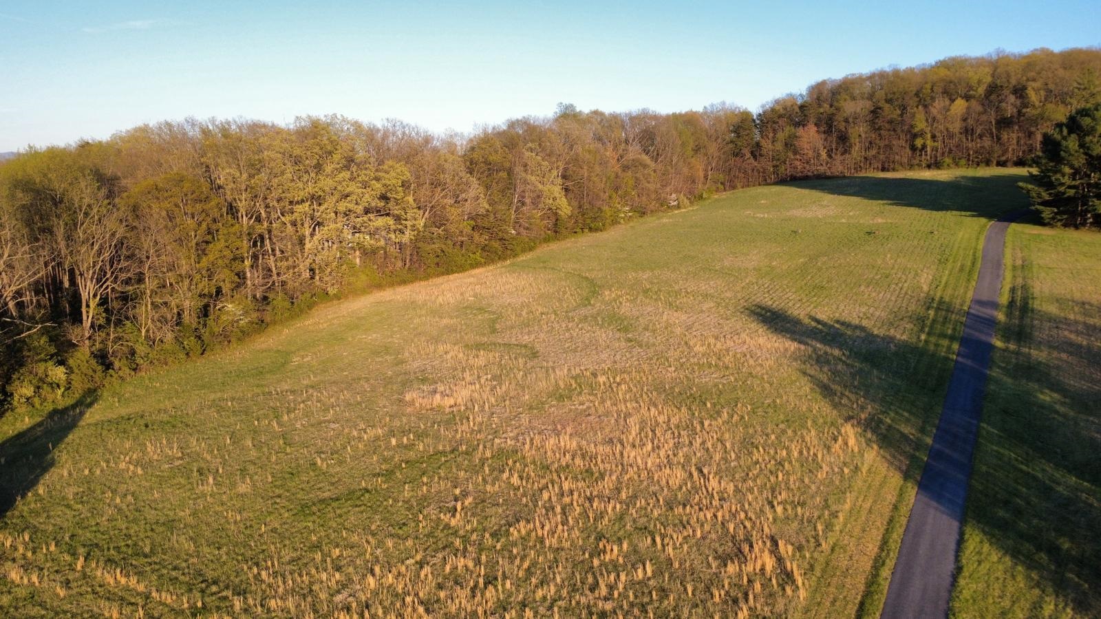 TBD BLOOMER SPRINGS RD, MCGAHEYSVILLE, Virginia 22840, ,Land,TBD BLOOMER SPRINGS RD,675715 MLS # 675715