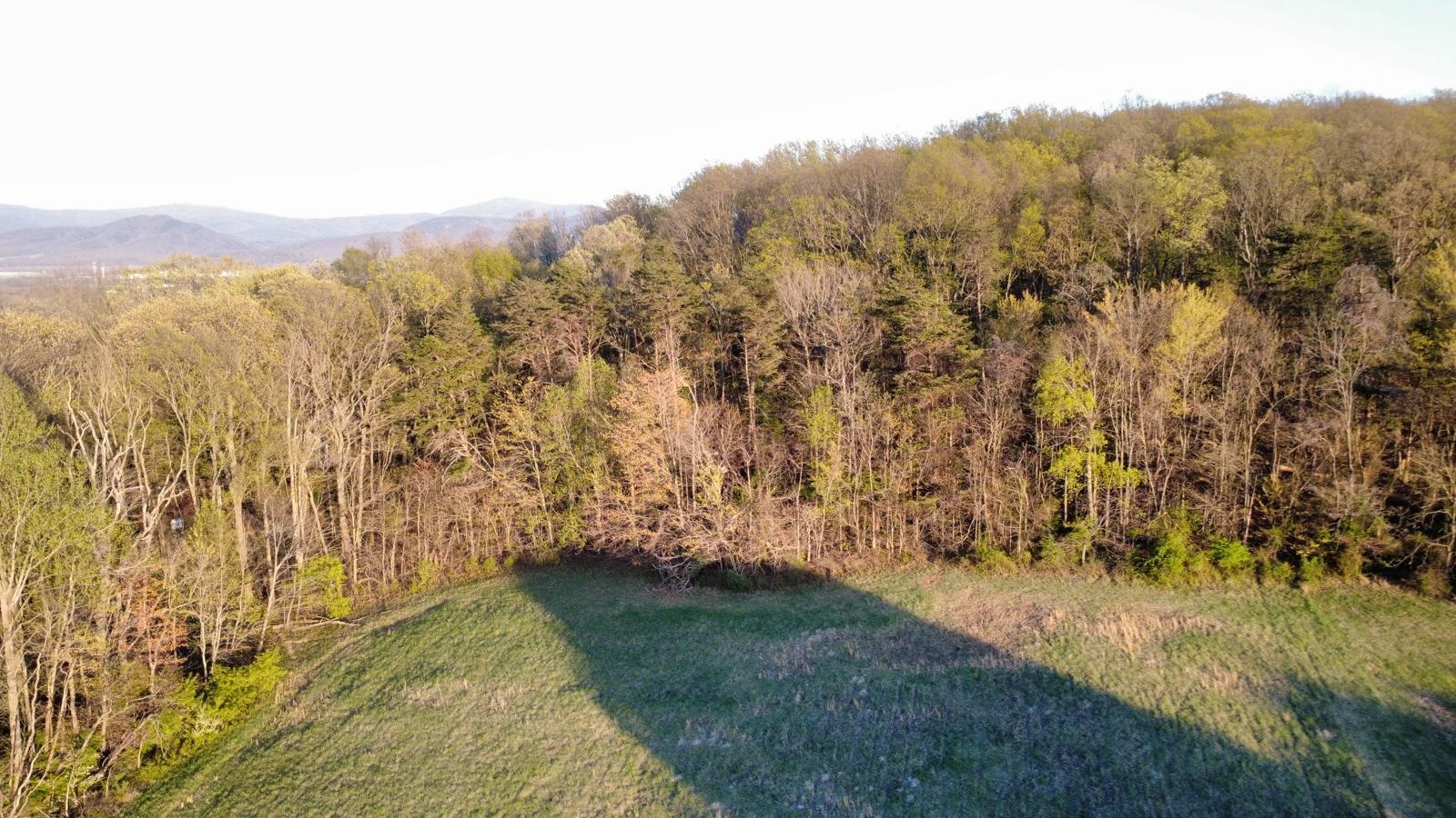 TBD BLOOMER SPRINGS RD, MCGAHEYSVILLE, Virginia 22840, ,Land,TBD BLOOMER SPRINGS RD,675715 MLS # 675715