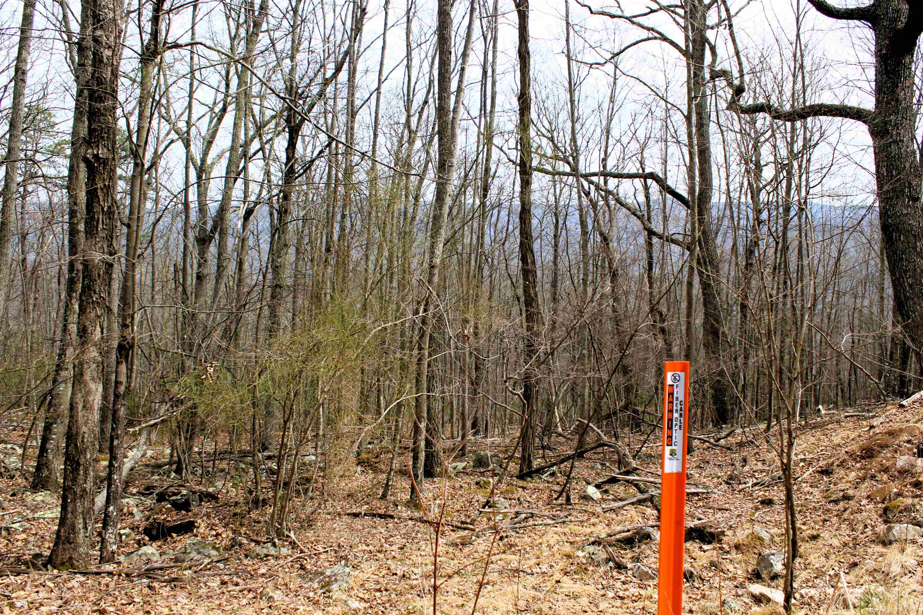 S HIGH VALLEY DR, MONTEREY, Virginia 24465, ,Land,Haase,S HIGH VALLEY DR,675724 MLS # 675724