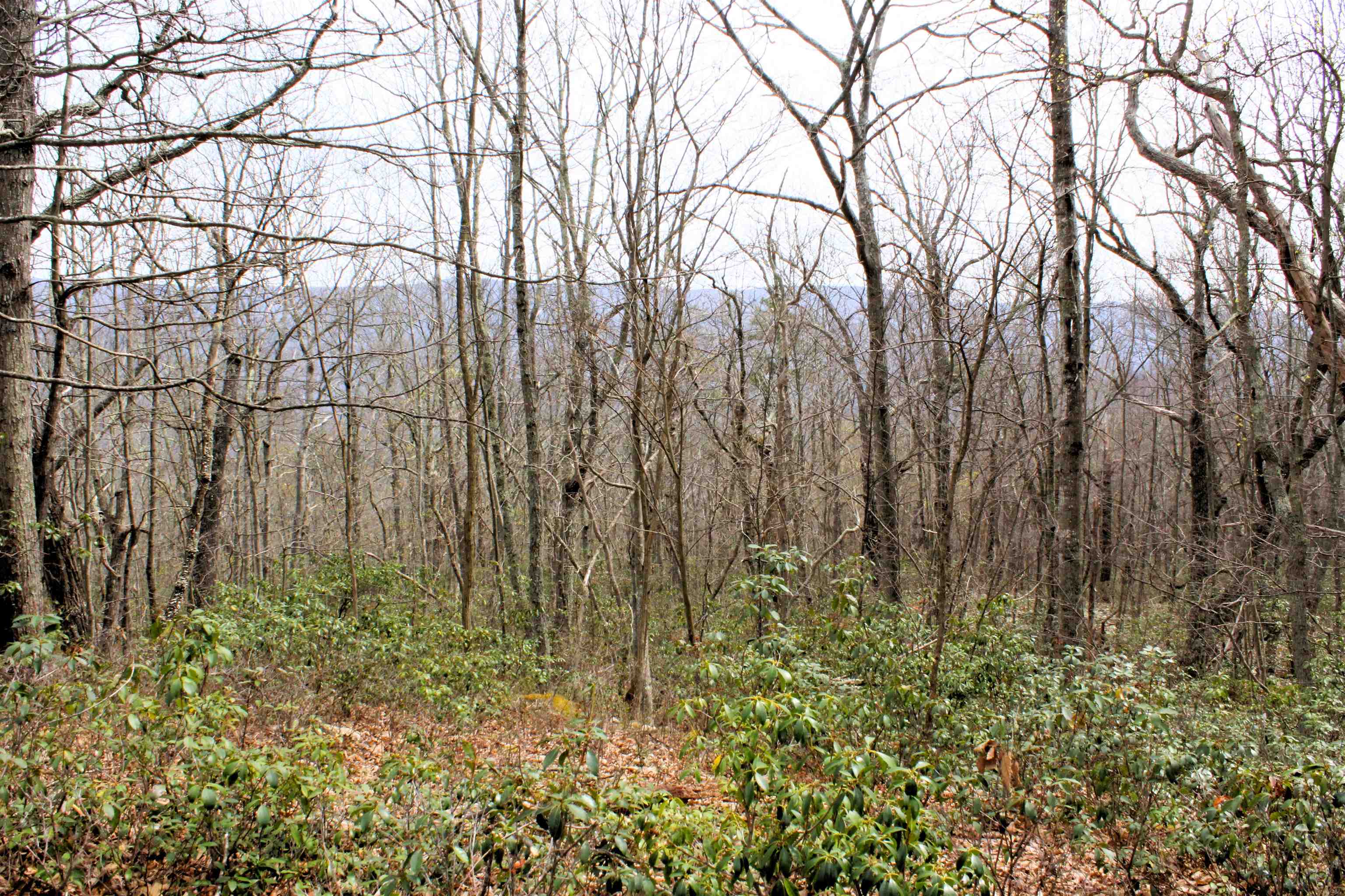 S HIGH VALLEY DR, MONTEREY, Virginia 24465, ,Land,Haase,S HIGH VALLEY DR,675724 MLS # 675724