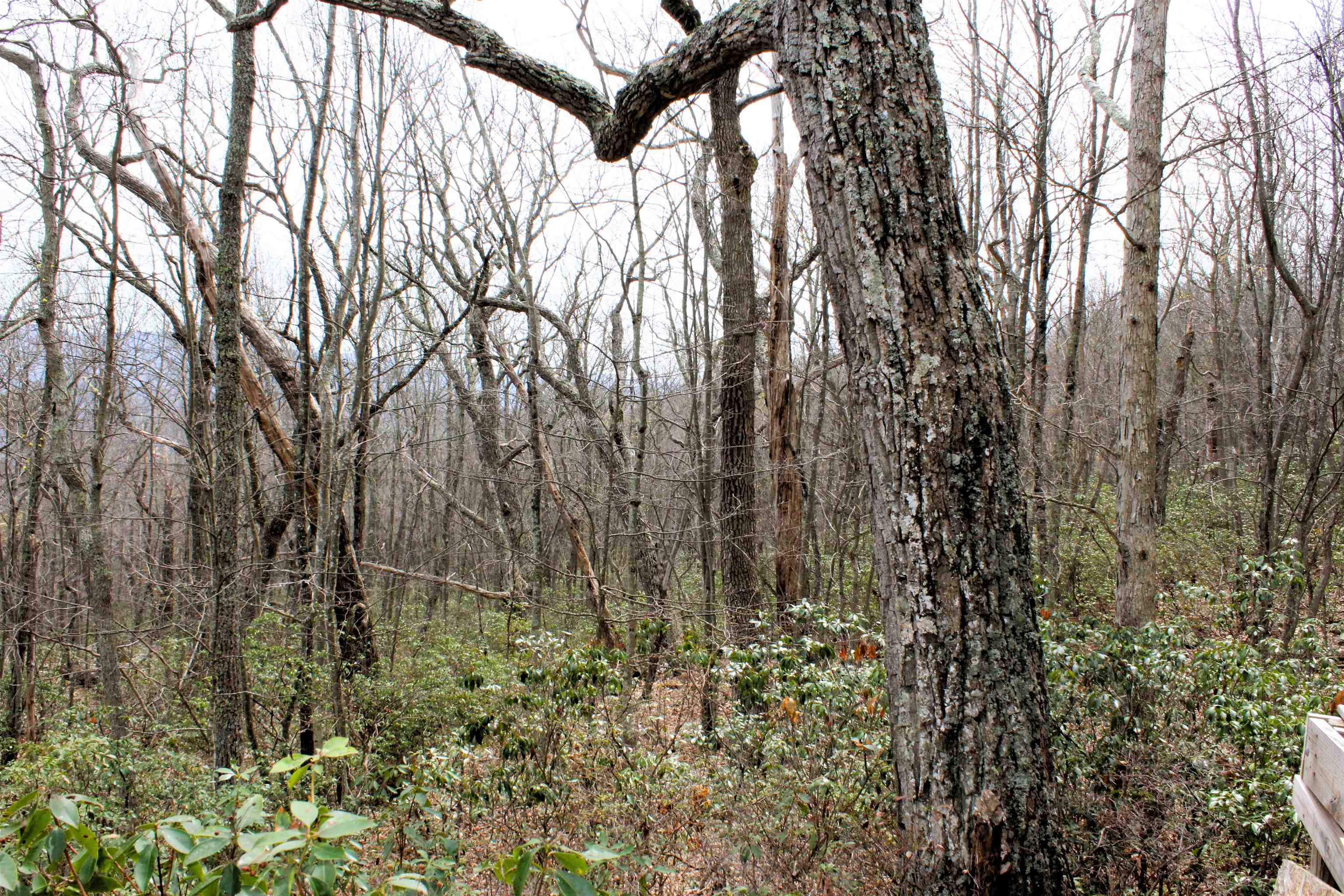 S HIGH VALLEY DR, MONTEREY, Virginia 24465, ,Land,Haase,S HIGH VALLEY DR,675724 MLS # 675724