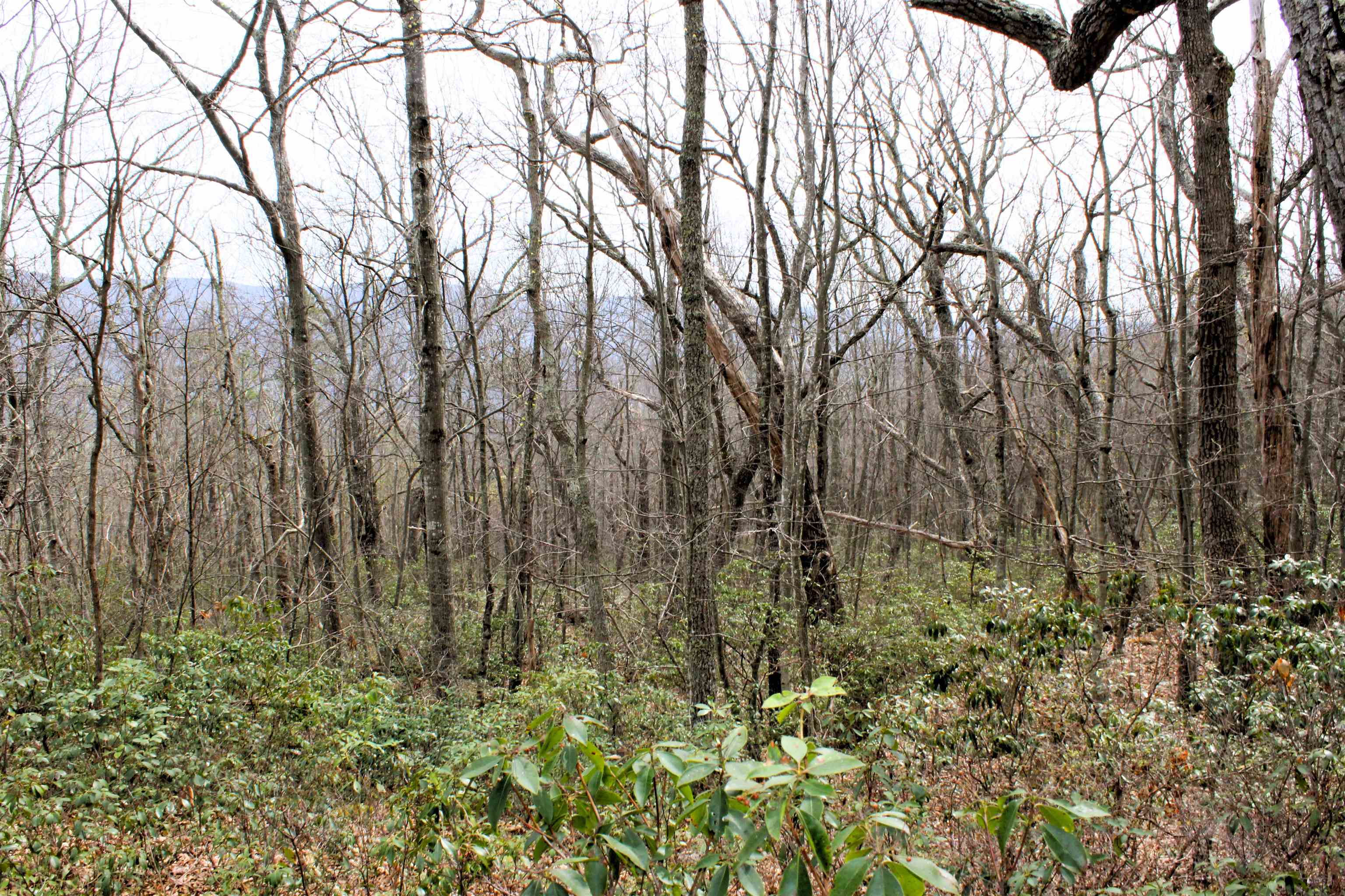 S HIGH VALLEY DR, MONTEREY, Virginia 24465, ,Land,Haase,S HIGH VALLEY DR,675724 MLS # 675724