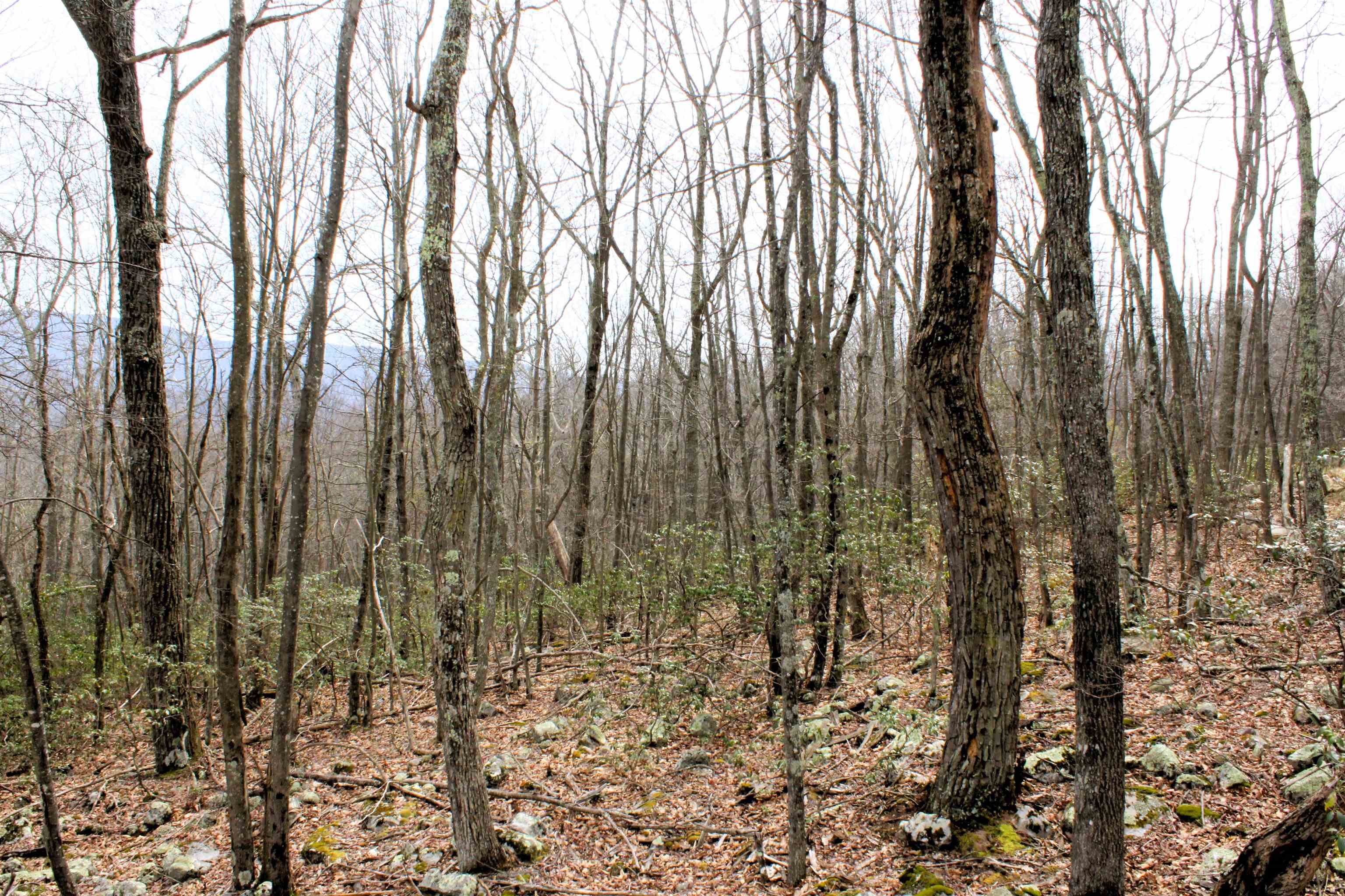 S HIGH VALLEY DR, MONTEREY, Virginia 24465, ,Land,Haase,S HIGH VALLEY DR,675724 MLS # 675724