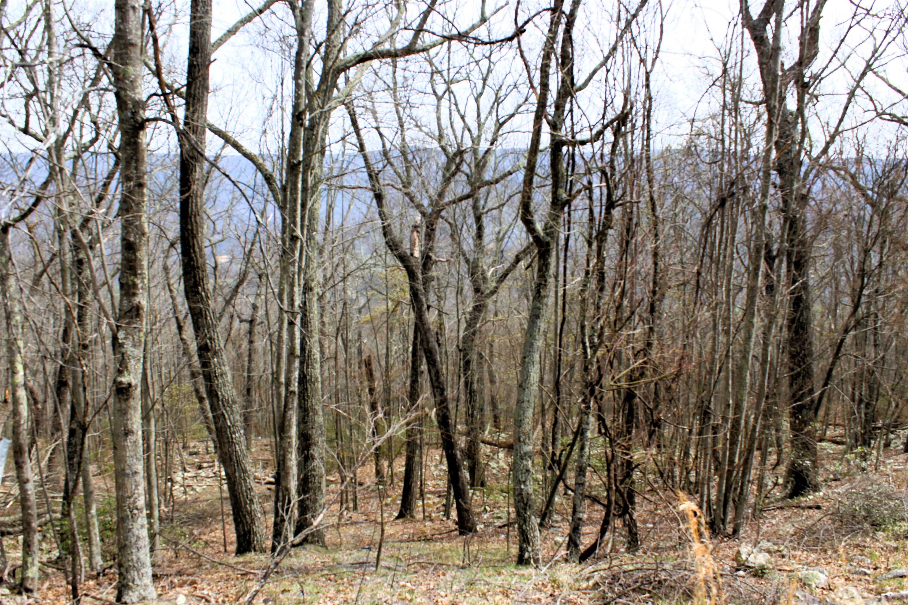 S HIGH VALLEY DR, MONTEREY, Virginia 24465, ,Land,Haase,S HIGH VALLEY DR,675724 MLS # 675724