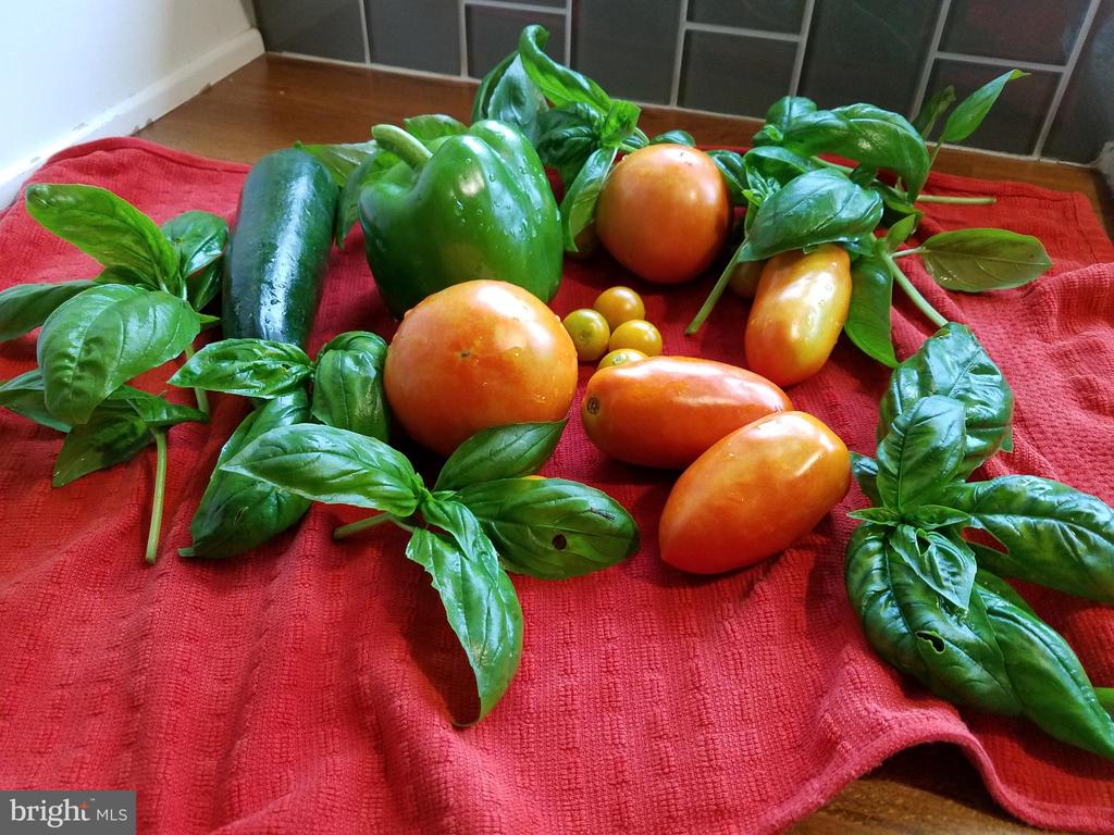 3505 SARAH DR, CHARLOTTESVILLE, Virginia 22911, 4 Bedrooms Bedrooms, ,3 BathroomsBathrooms,Residential,3505 SARAH DR,VAAB2001188 MLS # VAAB2001188