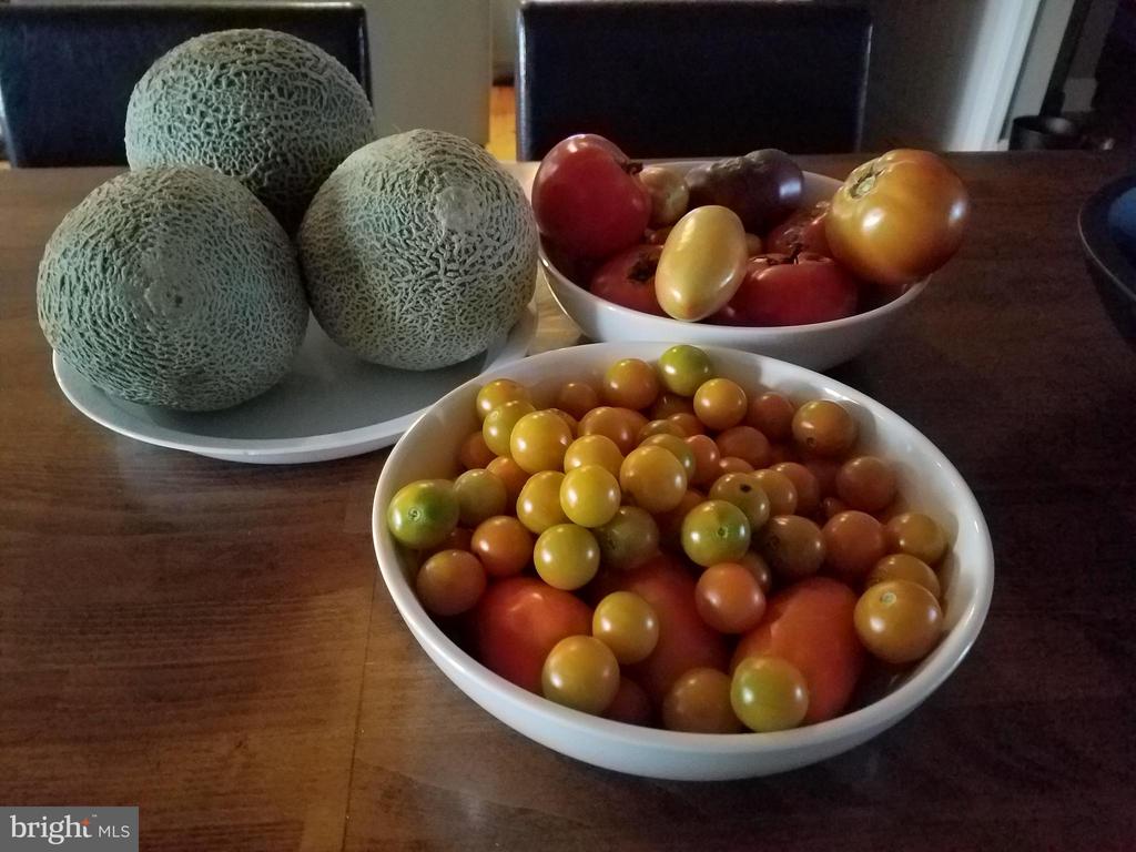 3505 SARAH DR, CHARLOTTESVILLE, Virginia 22911, 4 Bedrooms Bedrooms, ,3 BathroomsBathrooms,Residential,3505 SARAH DR,VAAB2001188 MLS # VAAB2001188