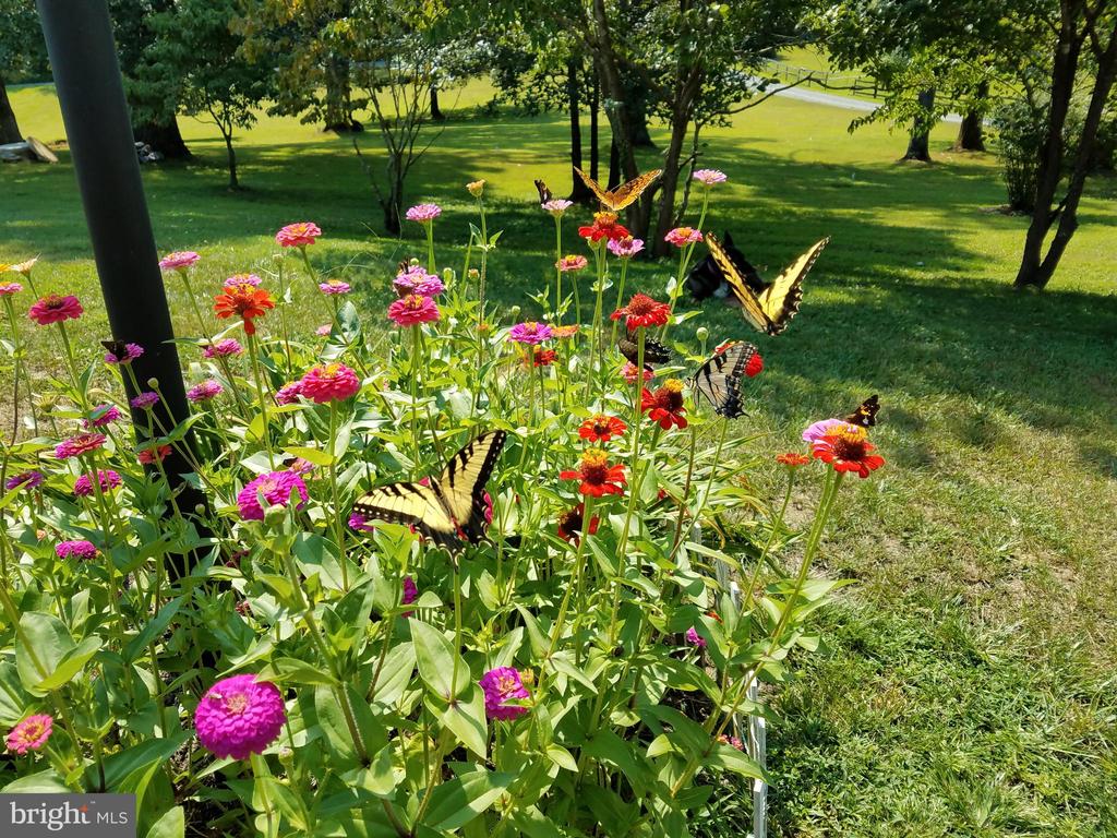 3505 SARAH DR, CHARLOTTESVILLE, Virginia 22911, 4 Bedrooms Bedrooms, ,3 BathroomsBathrooms,Residential,3505 SARAH DR,VAAB2001188 MLS # VAAB2001188