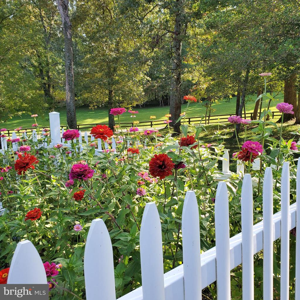 3505 SARAH DR, CHARLOTTESVILLE, Virginia 22911, 4 Bedrooms Bedrooms, ,3 BathroomsBathrooms,Residential,3505 SARAH DR,VAAB2001188 MLS # VAAB2001188