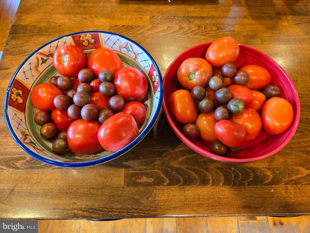 3505 SARAH DR, CHARLOTTESVILLE, Virginia 22911, 4 Bedrooms Bedrooms, ,3 BathroomsBathrooms,Residential,3505 SARAH DR,VAAB2001188 MLS # VAAB2001188