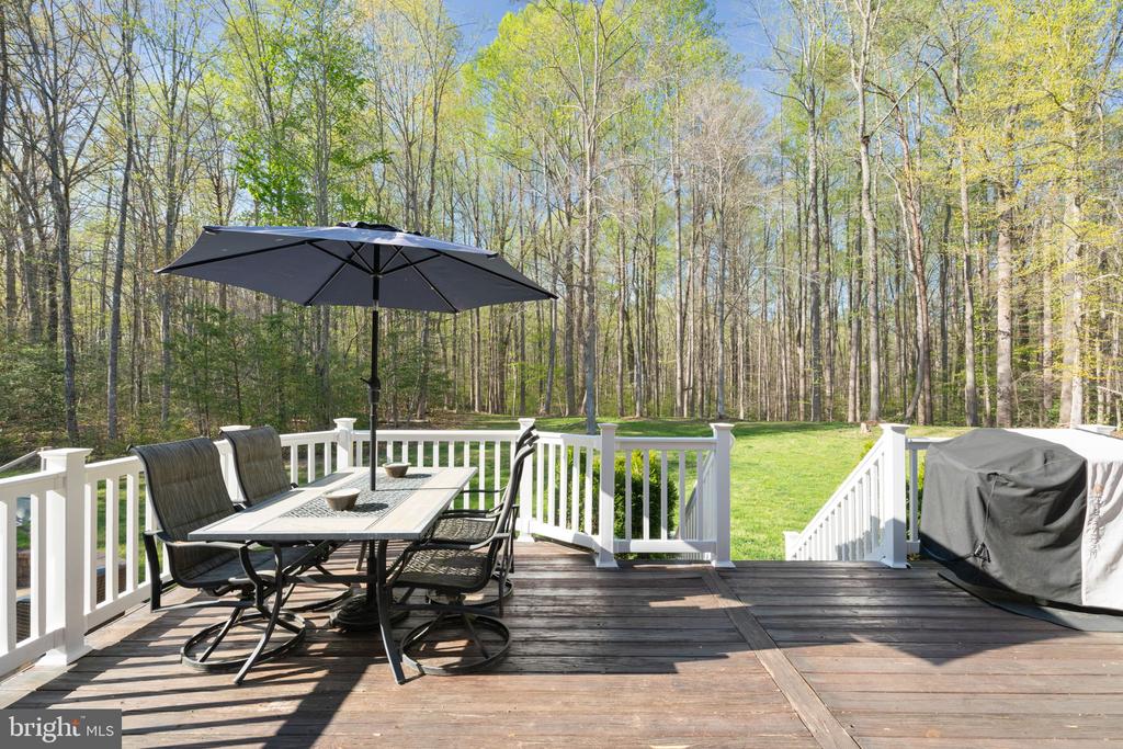 9611 WHITEHALL BLVD, SPOTSYLVANIA, Virginia 22553, 7 Bedrooms Bedrooms, ,6 BathroomsBathrooms,Residential,9611 WHITEHALL BLVD,VASP2040872 MLS # VASP2040872