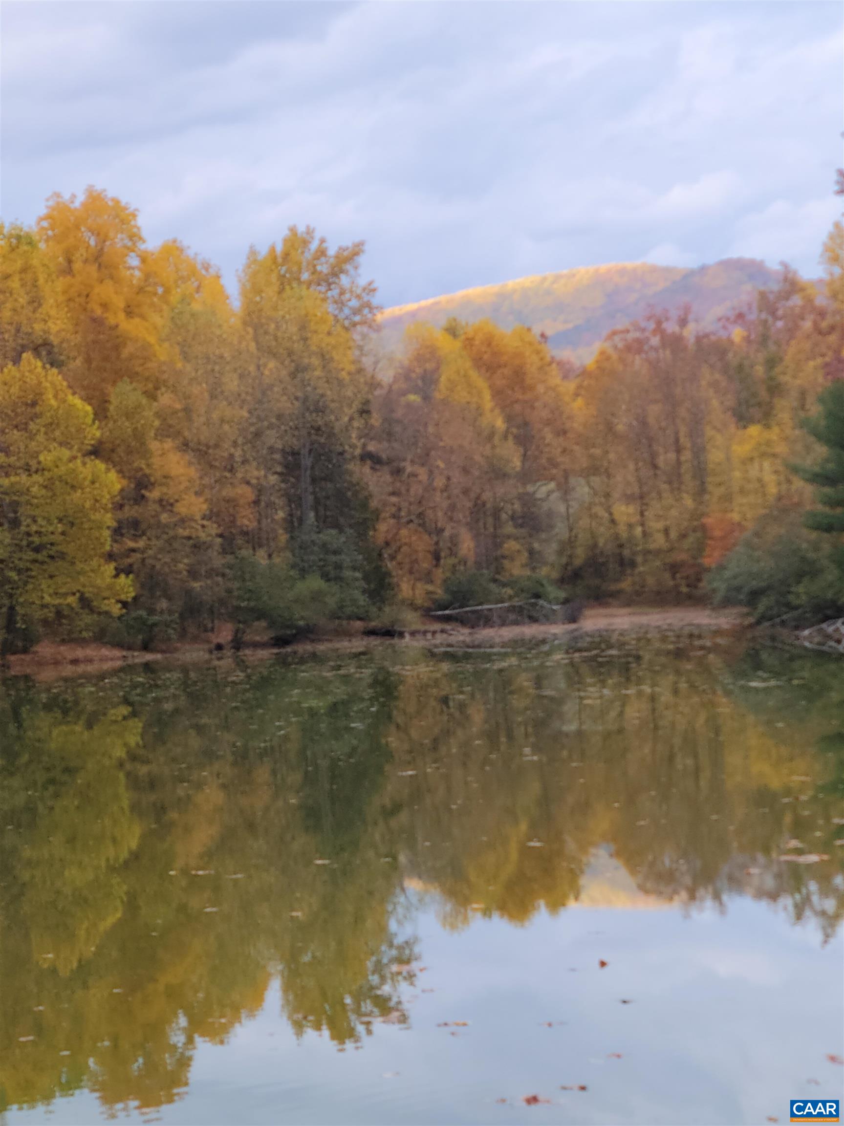 336 BEAR RUN RD, STANARDSVILLE, Virginia 22973, 4 Bedrooms Bedrooms, ,3 BathroomsBathrooms,Residential,336 BEAR RUN RD,675544 MLS # 675544