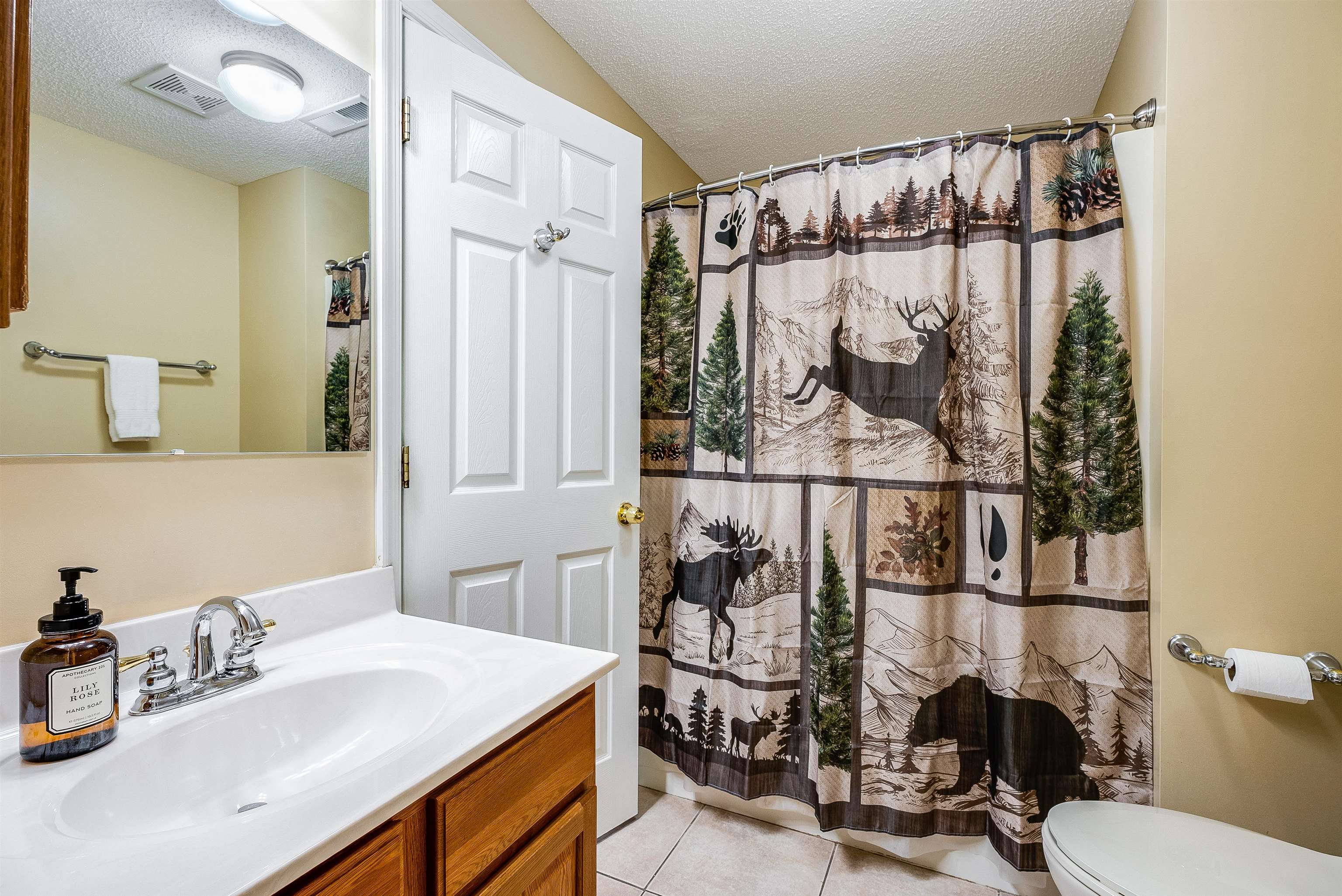 312 RAINIER RD, MCGAHEYSVILLE, Virginia 22840, 5 Bedrooms Bedrooms, ,4 BathroomsBathrooms,Residential,312 RAINIER RD,675586 MLS # 675586