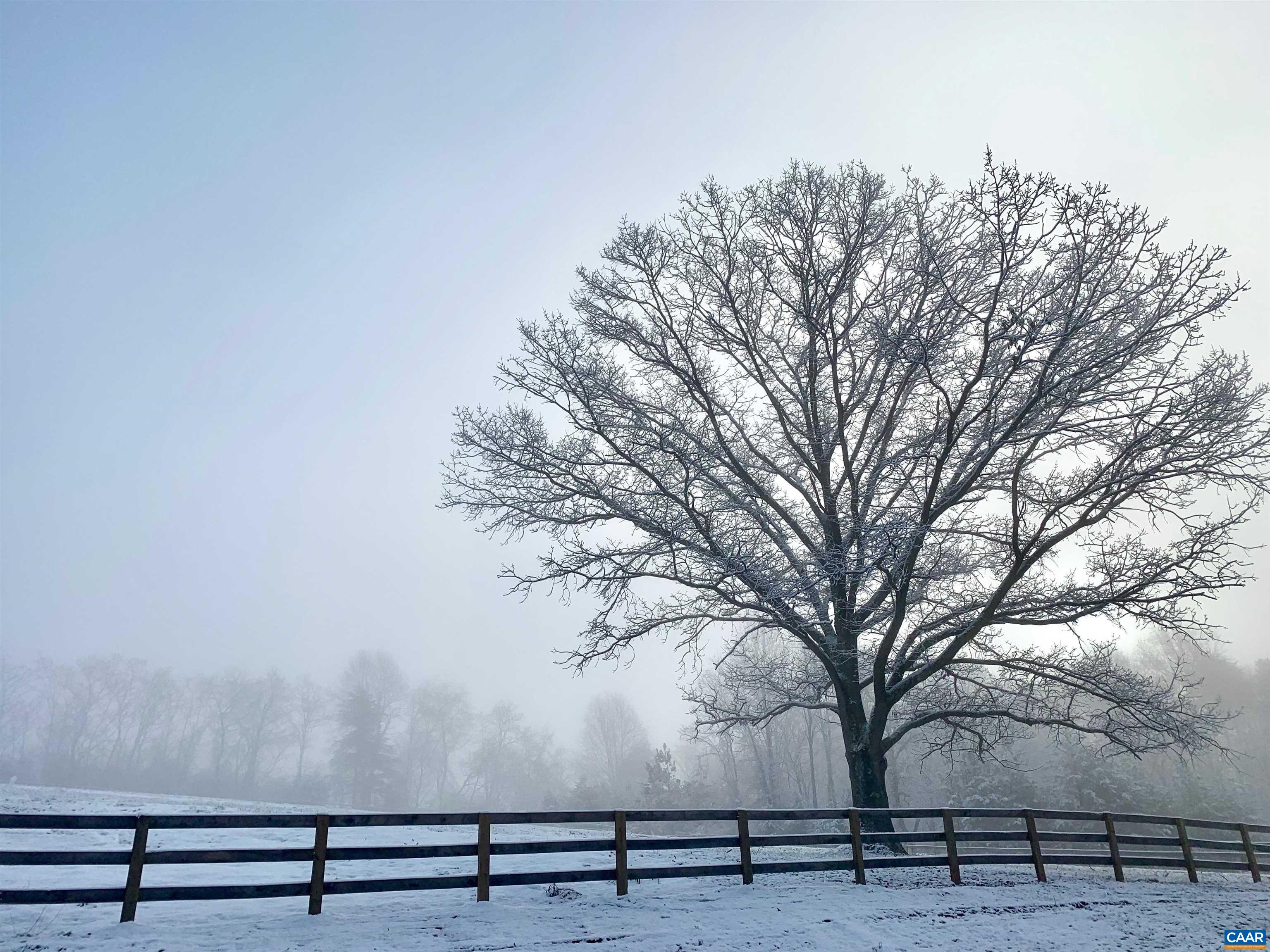 2236 CRAIGS STORE RD, AFTON, Virginia 22920, 4 Bedrooms Bedrooms, ,4 BathroomsBathrooms,Residential,Whistling Ridge Farm,2236 CRAIGS STORE RD,675713 MLS # 675713