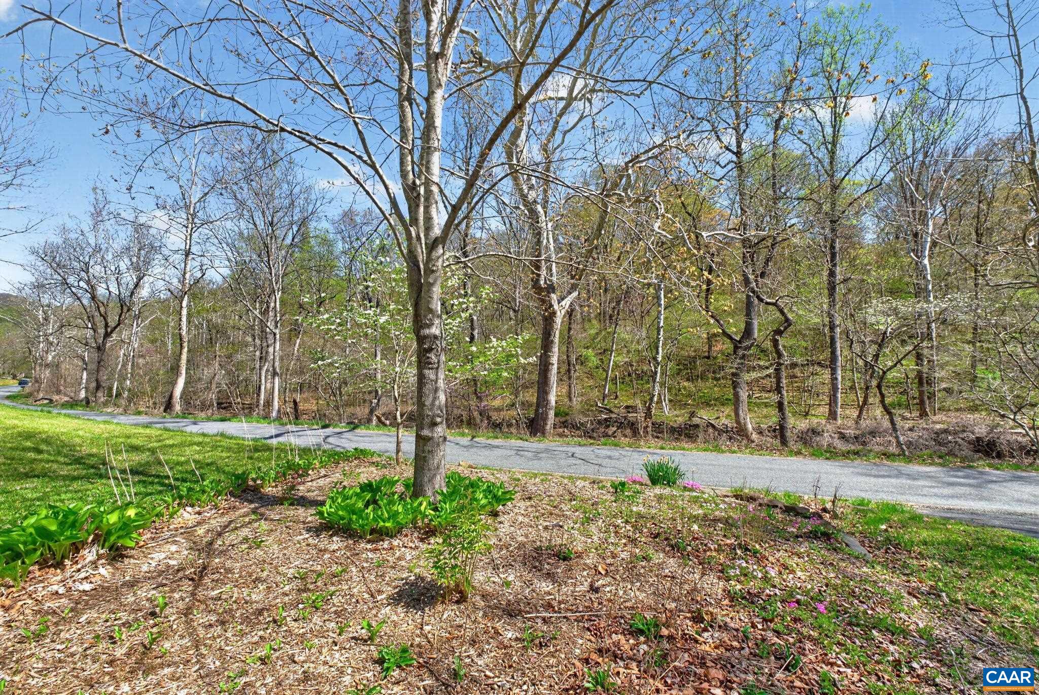 689 MUTTON HOLLOW RD, STANARDSVILLE, Virginia 22973, 3 Bedrooms Bedrooms, ,3 BathroomsBathrooms,Residential,689 MUTTON HOLLOW RD,675725 MLS # 675725