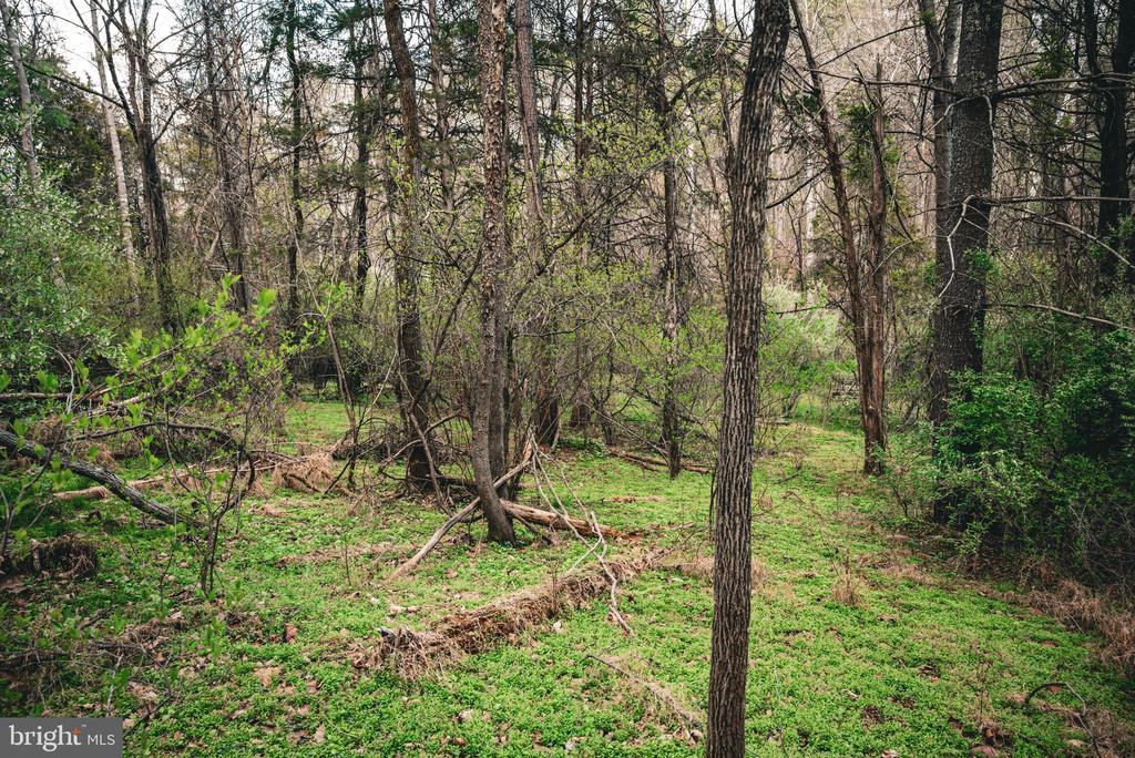 RIDGEVIEW DRIVE, RUCKERSVILLE, Virginia 22968, ,Land,RIDGEVIEW DRIVE,VAGR2000844 MLS # VAGR2000844