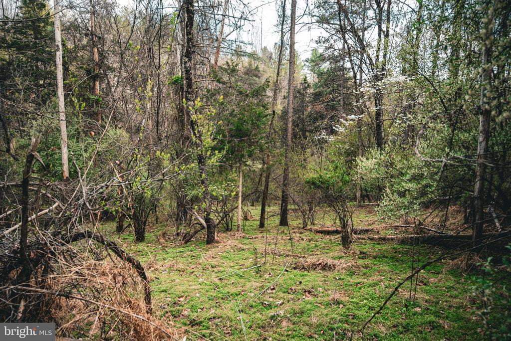 RIDGEVIEW DRIVE, RUCKERSVILLE, Virginia 22968, ,Land,RIDGEVIEW DRIVE,VAGR2000844 MLS # VAGR2000844