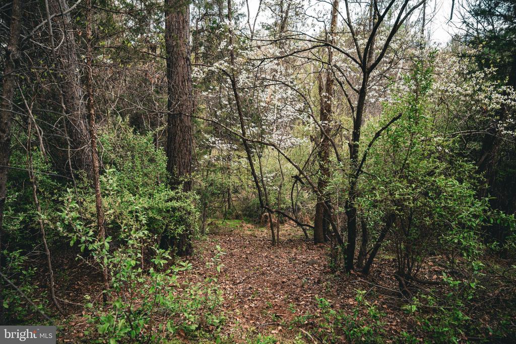 RIDGEVIEW DRIVE, RUCKERSVILLE, Virginia 22968, ,Land,RIDGEVIEW DRIVE,VAGR2000844 MLS # VAGR2000844