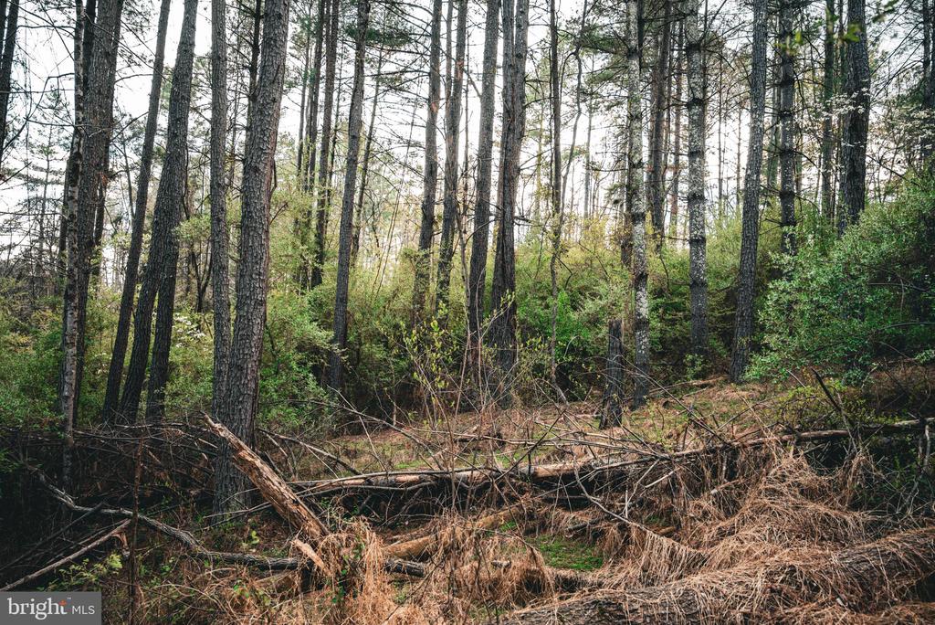 RIDGEVIEW DRIVE, RUCKERSVILLE, Virginia 22968, ,Land,RIDGEVIEW DRIVE,VAGR2000844 MLS # VAGR2000844