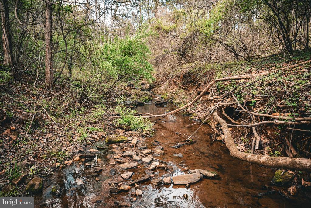 RIDGEVIEW DRIVE, RUCKERSVILLE, Virginia 22968, ,Land,RIDGEVIEW DRIVE,VAGR2000844 MLS # VAGR2000844