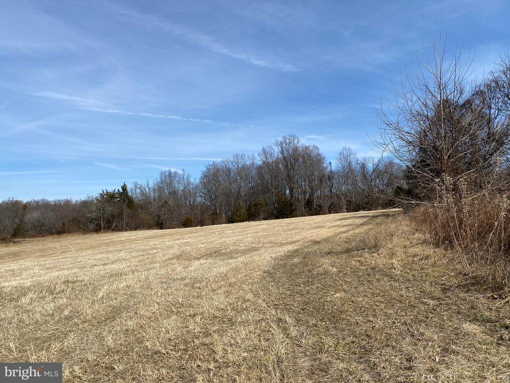 KIRTLEY TRAIL LOT 2, CULPEPER, Virginia 22701, ,Land,KIRTLEY TRAIL LOT 2,VACU2013288 MLS # VACU2013288