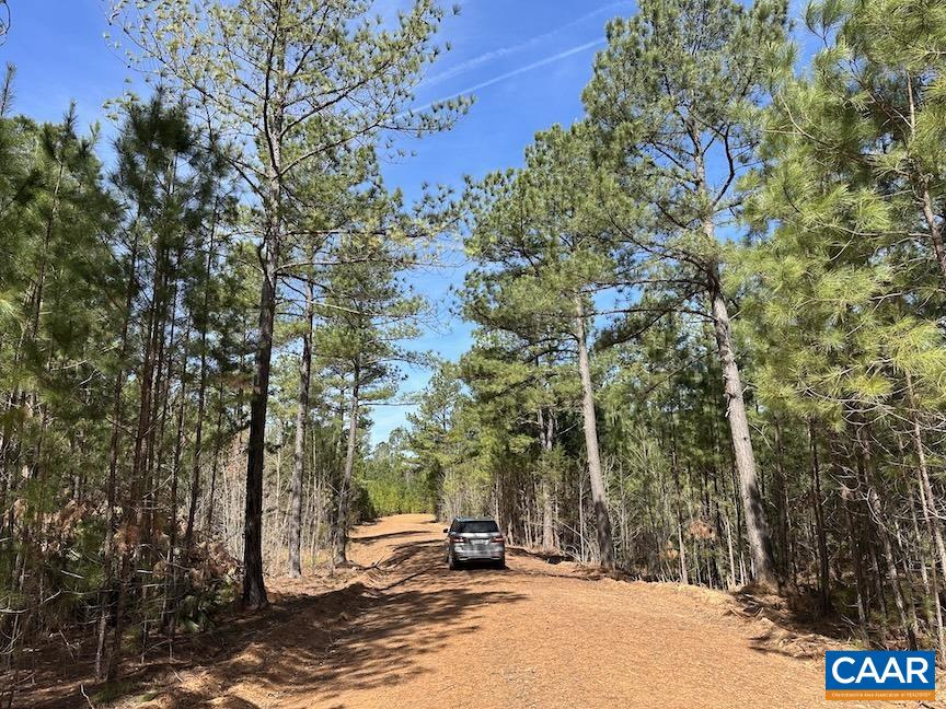 TBD ROLLING RD, CHARLOTTESVILLE, Virginia 22902, ,Farm,Rooks Ford Farm,TBD ROLLING RD,675728 MLS # 675728